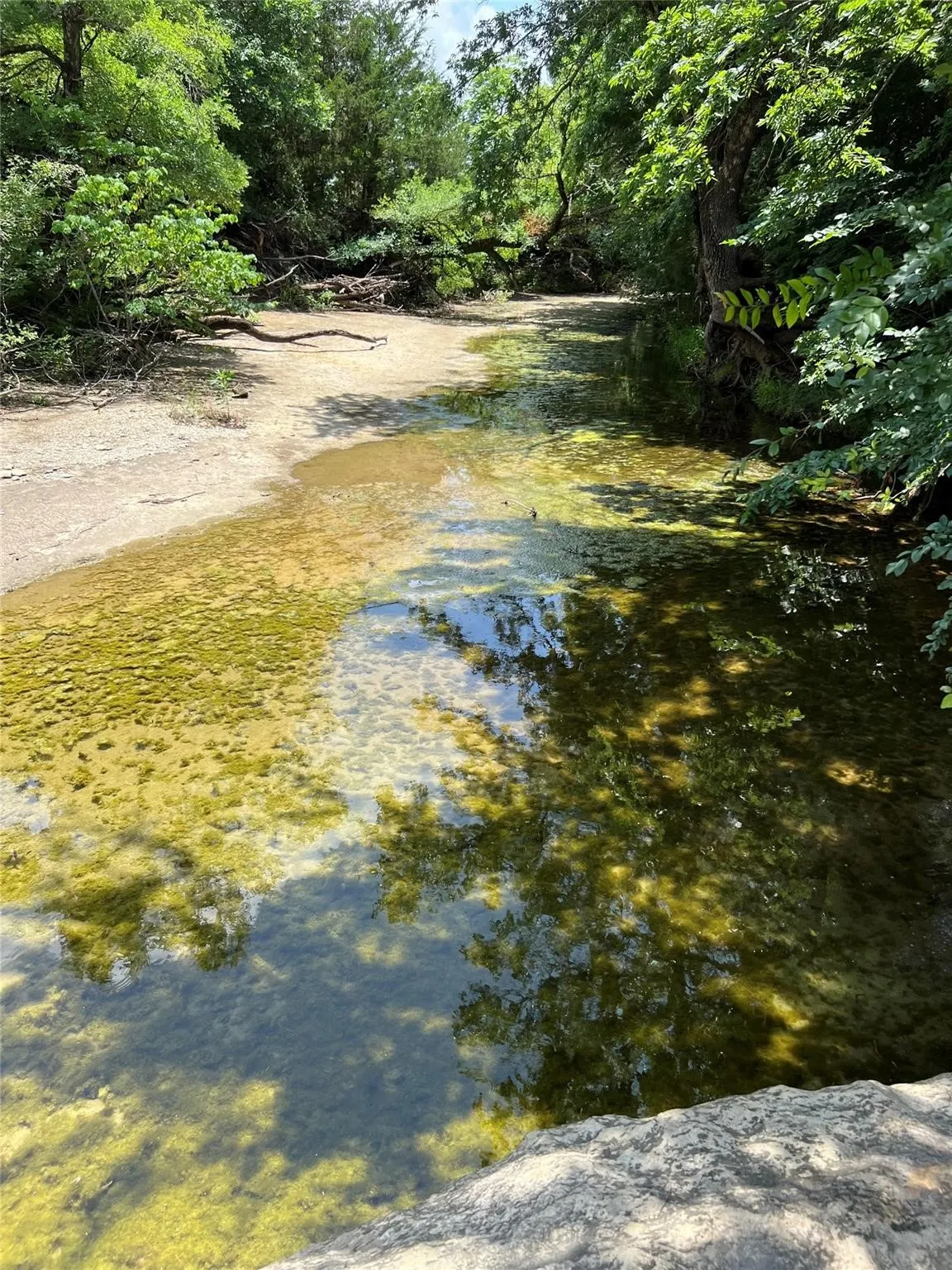 Unimproved Land For Sale in Fannin County , TBD CR 3735, Wolfe City, Texas 75496, 0, 0, Garage spaces, 0 Sqft, built in 0, Price $950,000, mls#21283470, Real Estate Agent in Wolfe City, Homes For Sale in Fannin county, Homes For Sale in Wolfe City, Realtor in Wolfe City Texas, Real Estate Brokerage Independent Realty Texas, Luminita Cordes Realtor