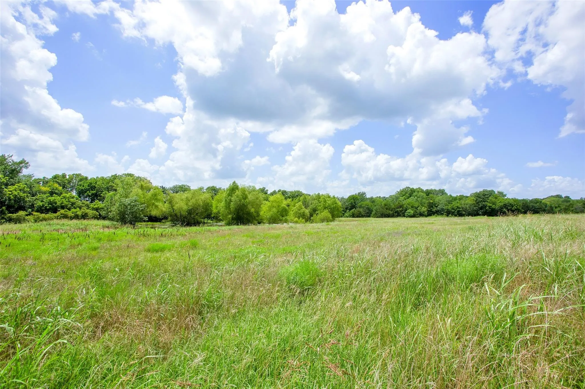 Unimproved Land For Sale in Fannin County , TBD CR 3735, Wolfe City, Texas 75496, 0, 0, Garage spaces, 0 Sqft, built in 0, Price $950,000, mls#21283470, Real Estate Agent in Wolfe City, Homes For Sale in Fannin county, Homes For Sale in Wolfe City, Realtor in Wolfe City Texas, Real Estate Brokerage Independent Realty Texas, Luminita Cordes Realtor