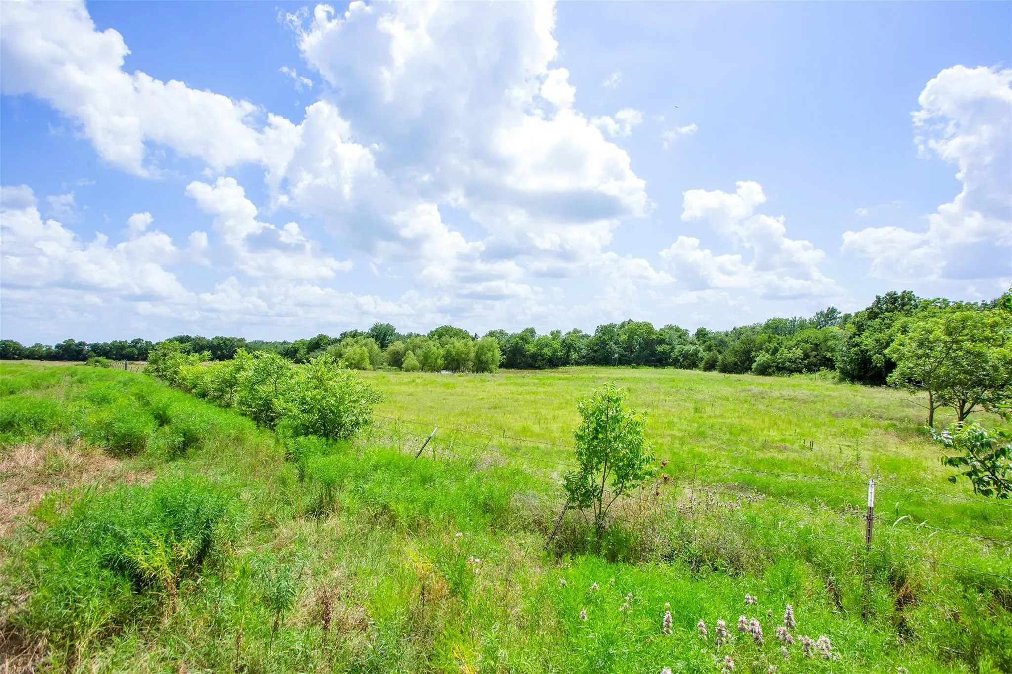 Unimproved Land For Sale in Fannin County , TBD CR 3735, Wolfe City, Texas 75496, 0, 0, Garage spaces, 0 Sqft, built in 0, Price $950,000, mls#21283470, Real Estate Agent in Wolfe City, Homes For Sale in Fannin county, Homes For Sale in Wolfe City, Realtor in Wolfe City Texas, Real Estate Brokerage Independent Realty Texas, Luminita Cordes Realtor