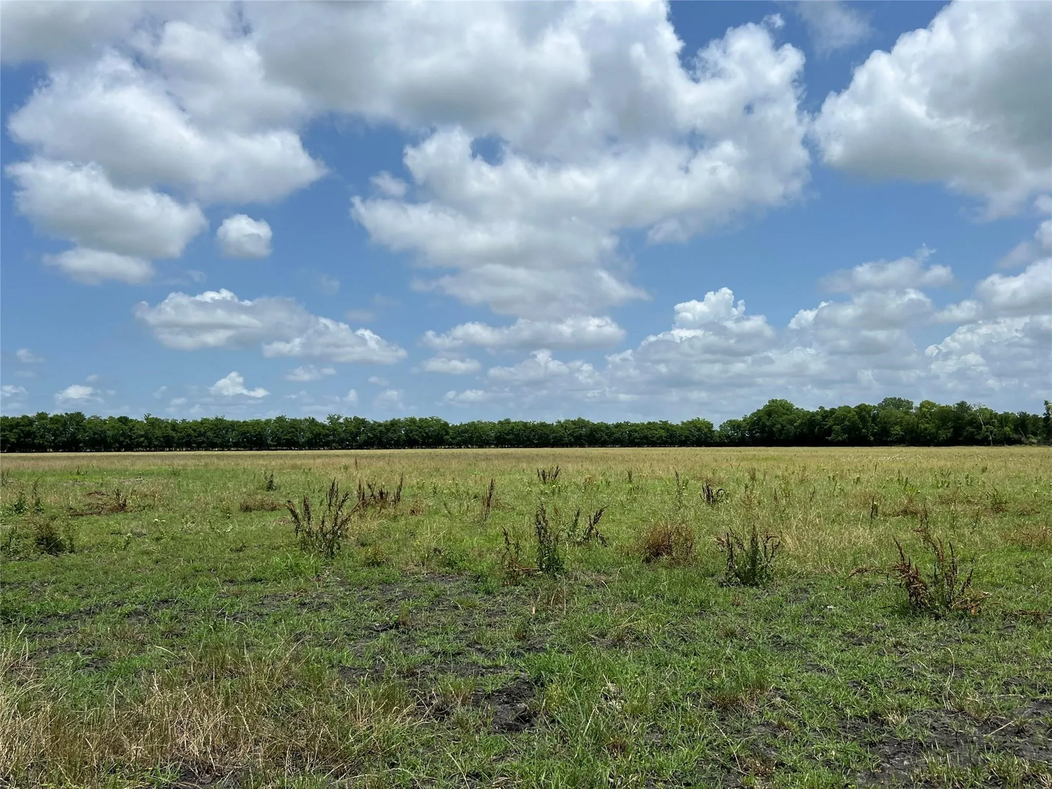Unimproved Land For Sale in Fannin County , TBD CR 3735, Wolfe City, Texas 75496, 0, 0, Garage spaces, 0 Sqft, built in 0, Price $950,000, mls#21283470, Real Estate Agent in Wolfe City, Homes For Sale in Fannin county, Homes For Sale in Wolfe City, Realtor in Wolfe City Texas, Real Estate Brokerage Independent Realty Texas, Luminita Cordes Realtor