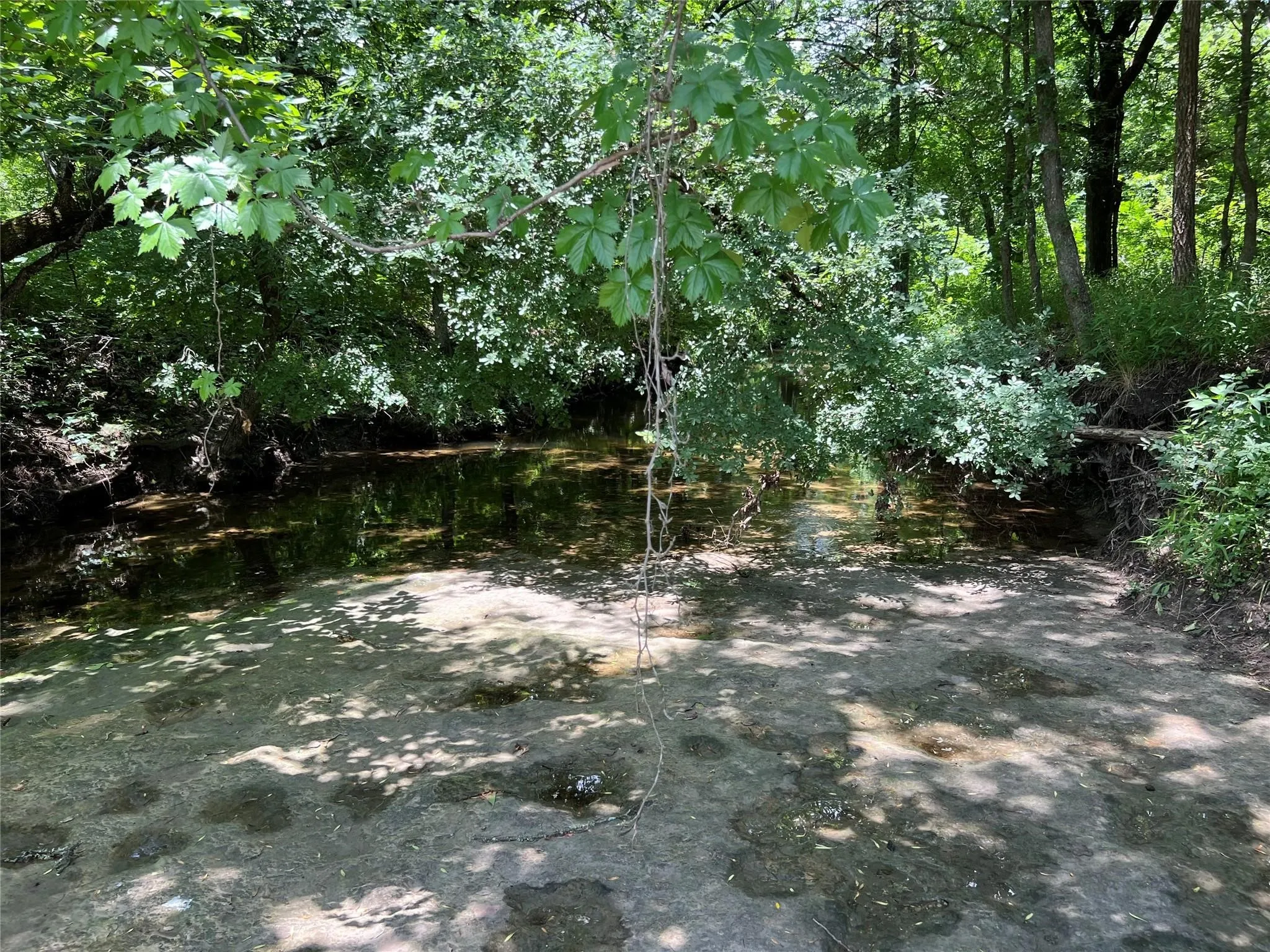 Unimproved Land For Sale in Fannin County , TBD CR 3735, Wolfe City, Texas 75496, 0, 0, Garage spaces, 0 Sqft, built in 0, Price $950,000, mls#21283470, Real Estate Agent in Wolfe City, Homes For Sale in Fannin county, Homes For Sale in Wolfe City, Realtor in Wolfe City Texas, Real Estate Brokerage Independent Realty Texas, Luminita Cordes Realtor