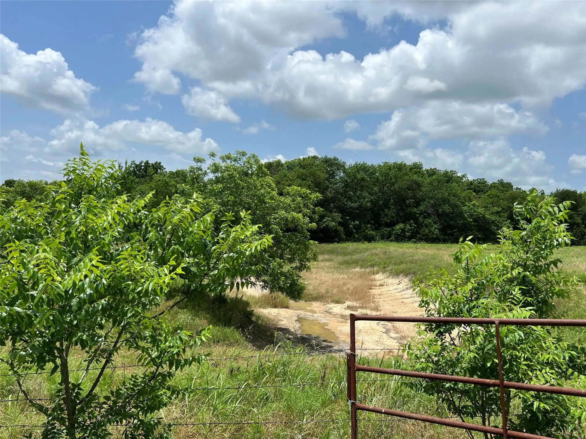 Unimproved Land For Sale in Fannin County , TBD CR 3735, Wolfe City, Texas 75496, 0, 0, Garage spaces, 0 Sqft, built in 0, Price $950,000, mls#21283470, Real Estate Agent in Wolfe City, Homes For Sale in Fannin county, Homes For Sale in Wolfe City, Realtor in Wolfe City Texas, Real Estate Brokerage Independent Realty Texas, Luminita Cordes Realtor