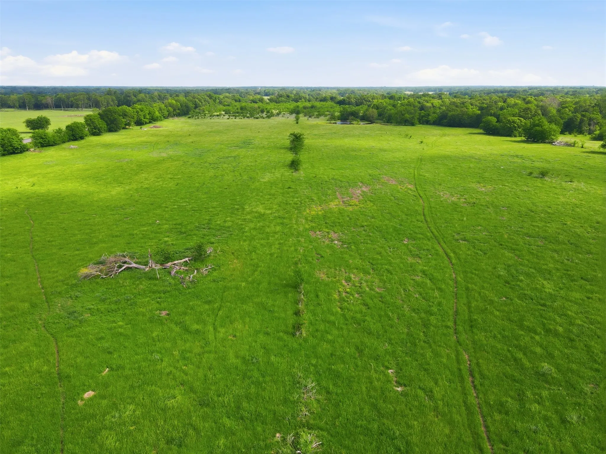 Unimproved Land For Sale in Hopkins County , TBD N Highway 19, Sulphur Springs, Texas 75482, 0, 0, Garage spaces, 8,000 Sqft, built in 1984, mls#21245409, Real Estate Agent in Sulphur Springs, Homes For Sale in Hopkins county, Homes For Sale in Sulphur Springs, Realtor in Sulphur Springs Texas, Real Estate Brokerage Independent Realty Texas, Luminita Cordes Realtor