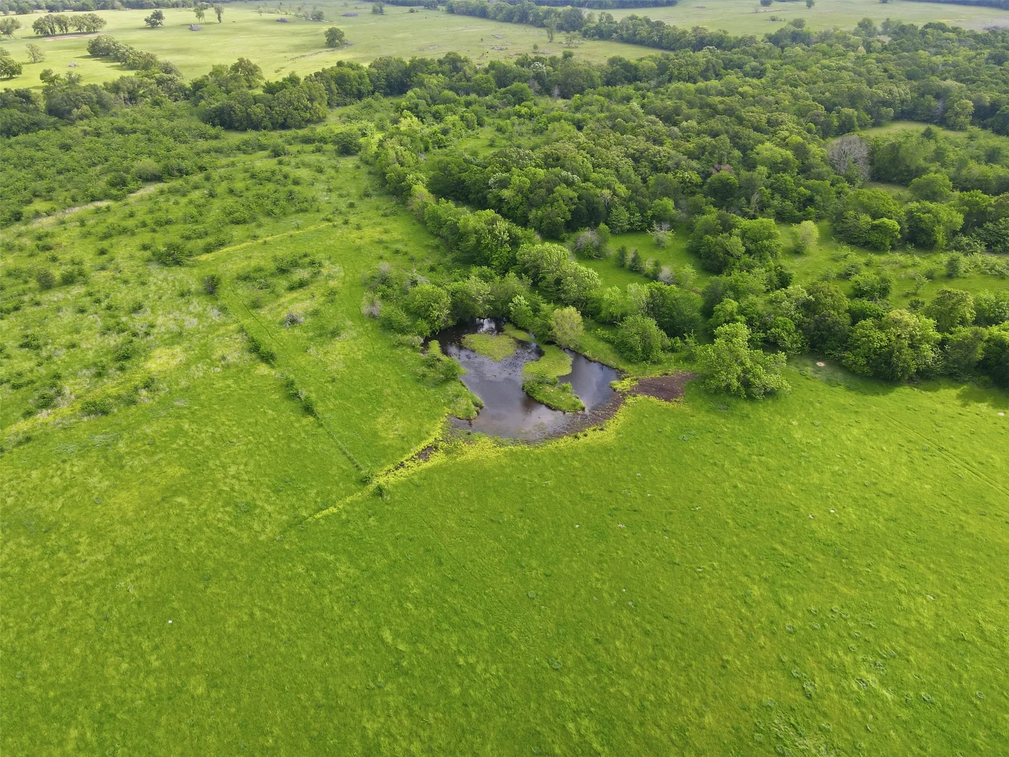 Unimproved Land For Sale in Hopkins County , TBD N Highway 19, Sulphur Springs, Texas 75482, 0, 0, Garage spaces, 8,000 Sqft, built in 1984, mls#21245409, Real Estate Agent in Sulphur Springs, Homes For Sale in Hopkins county, Homes For Sale in Sulphur Springs, Realtor in Sulphur Springs Texas, Real Estate Brokerage Independent Realty Texas, Luminita Cordes Realtor