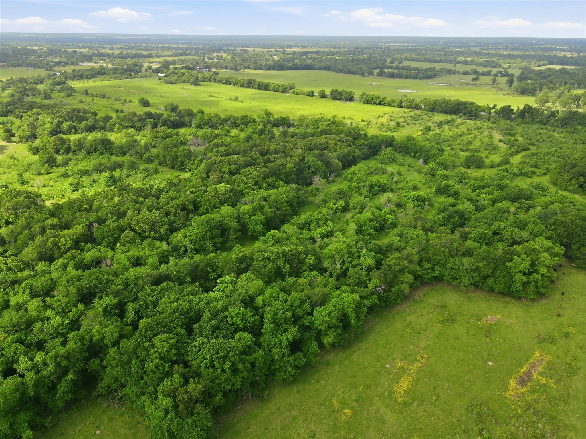 Unimproved Land For Sale in Hopkins County , TBD N Highway 19, Sulphur Springs, Texas 75482, 0, 0, Garage spaces, 8,000 Sqft, built in 1984, mls#21245409, Real Estate Agent in Sulphur Springs, Homes For Sale in Hopkins county, Homes For Sale in Sulphur Springs, Realtor in Sulphur Springs Texas, Real Estate Brokerage Independent Realty Texas, Luminita Cordes Realtor