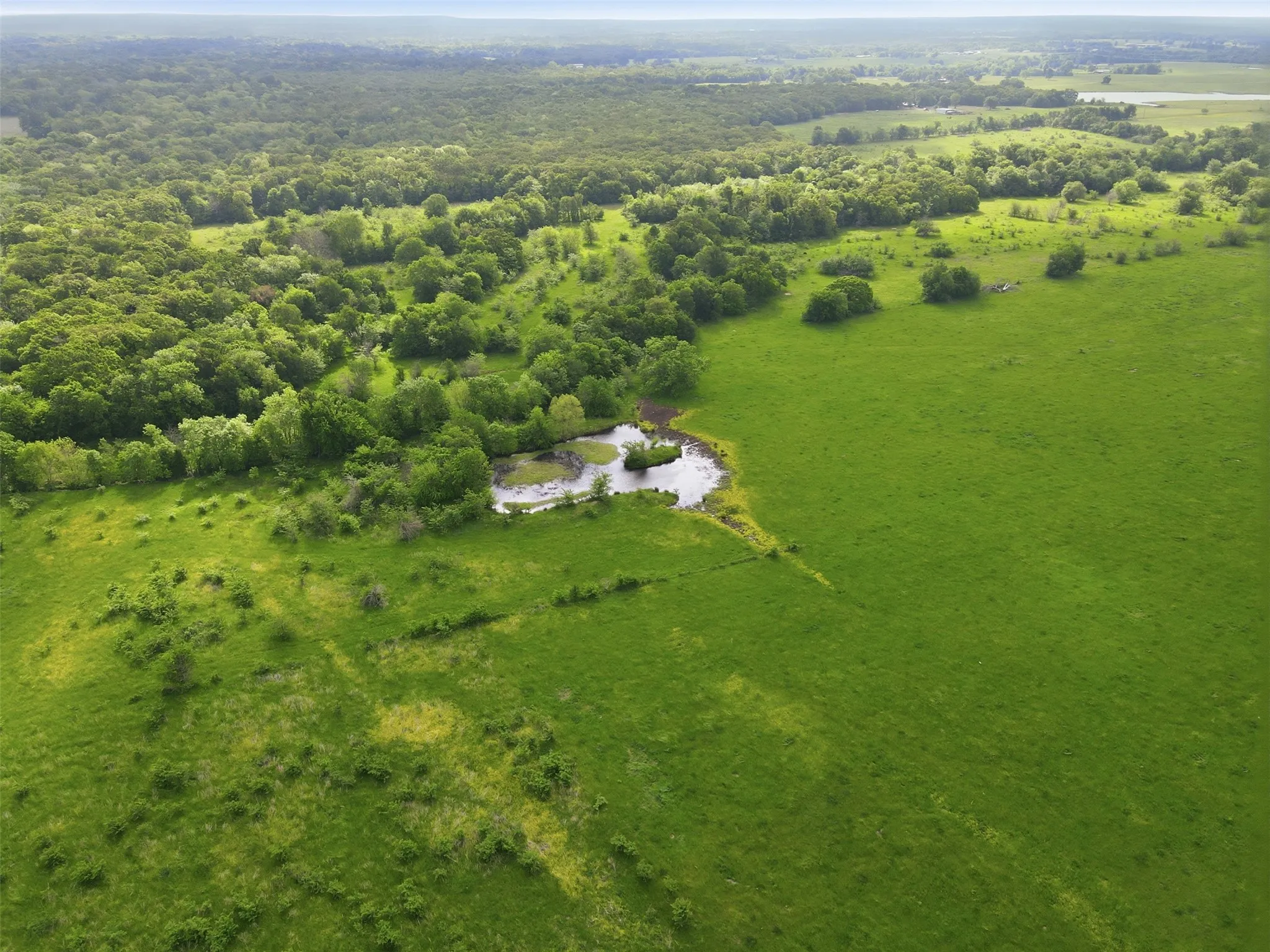 Unimproved Land For Sale in Hopkins County , TBD N Highway 19, Sulphur Springs, Texas 75482, 0, 0, Garage spaces, 8,000 Sqft, built in 1984, mls#21245409, Real Estate Agent in Sulphur Springs, Homes For Sale in Hopkins county, Homes For Sale in Sulphur Springs, Realtor in Sulphur Springs Texas, Real Estate Brokerage Independent Realty Texas, Luminita Cordes Realtor