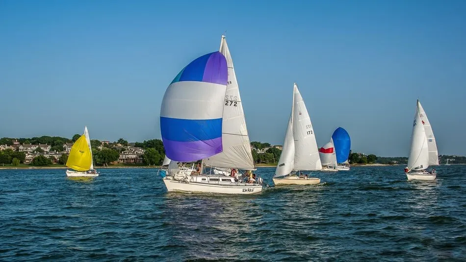 Waterfront setting with multiple sailboats on the water