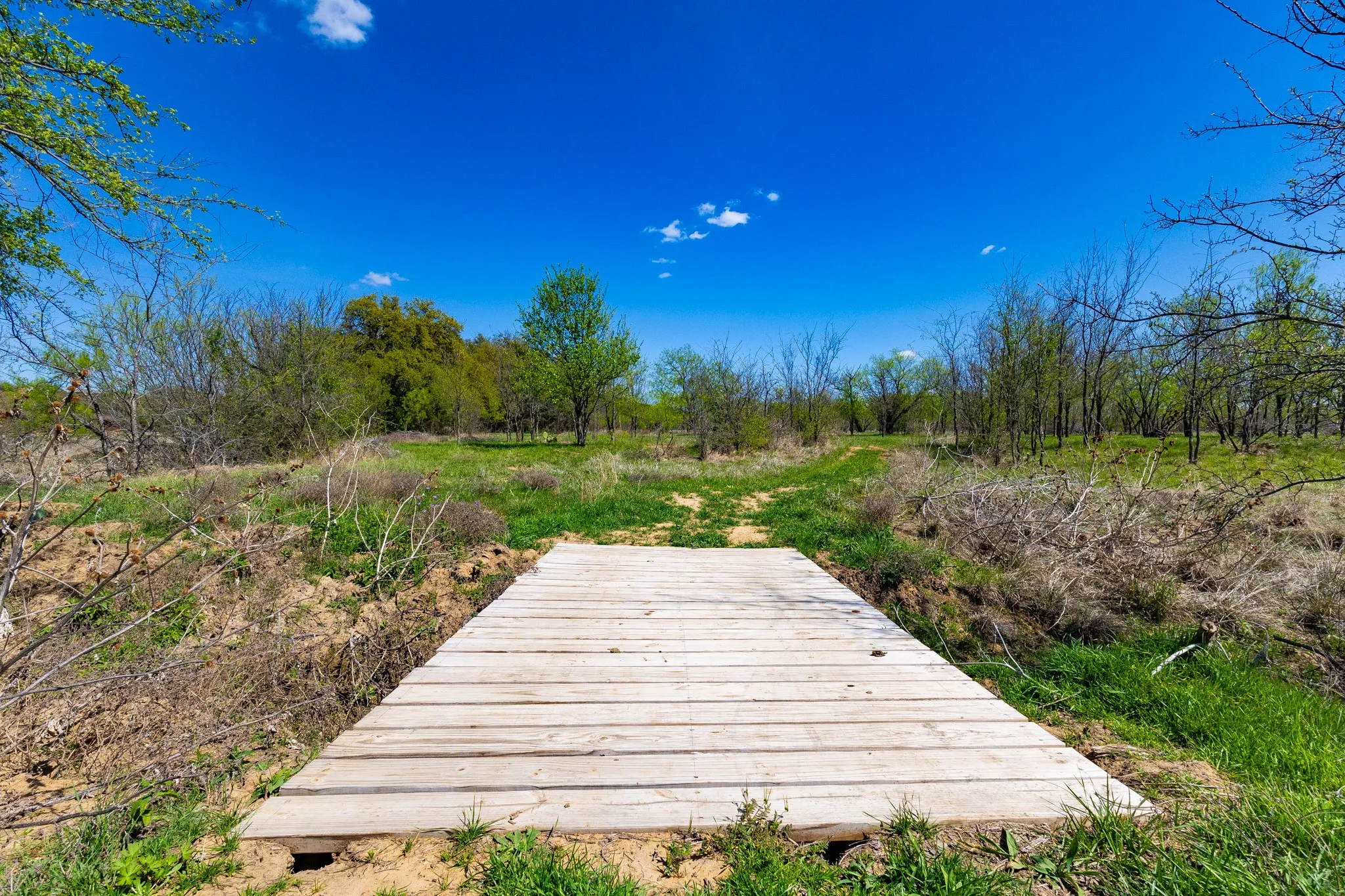 Unimproved Land For Sale in Palo Pinto County , Lot 446 Indigo Bush, Possum Kingdom Lake, Texas 76449, 0, 0, Garage spaces, 0 Sqft, built in 0, Price $50,000, mls#21283494, Real Estate Agent in Possum Kingdom Lake, Homes For Sale in Palo Pinto county, Homes For Sale in Possum Kingdom Lake, Realtor in Possum Kingdom Lake Texas, Real Estate Brokerage Independent Realty Texas, Luminita Cordes Realtor