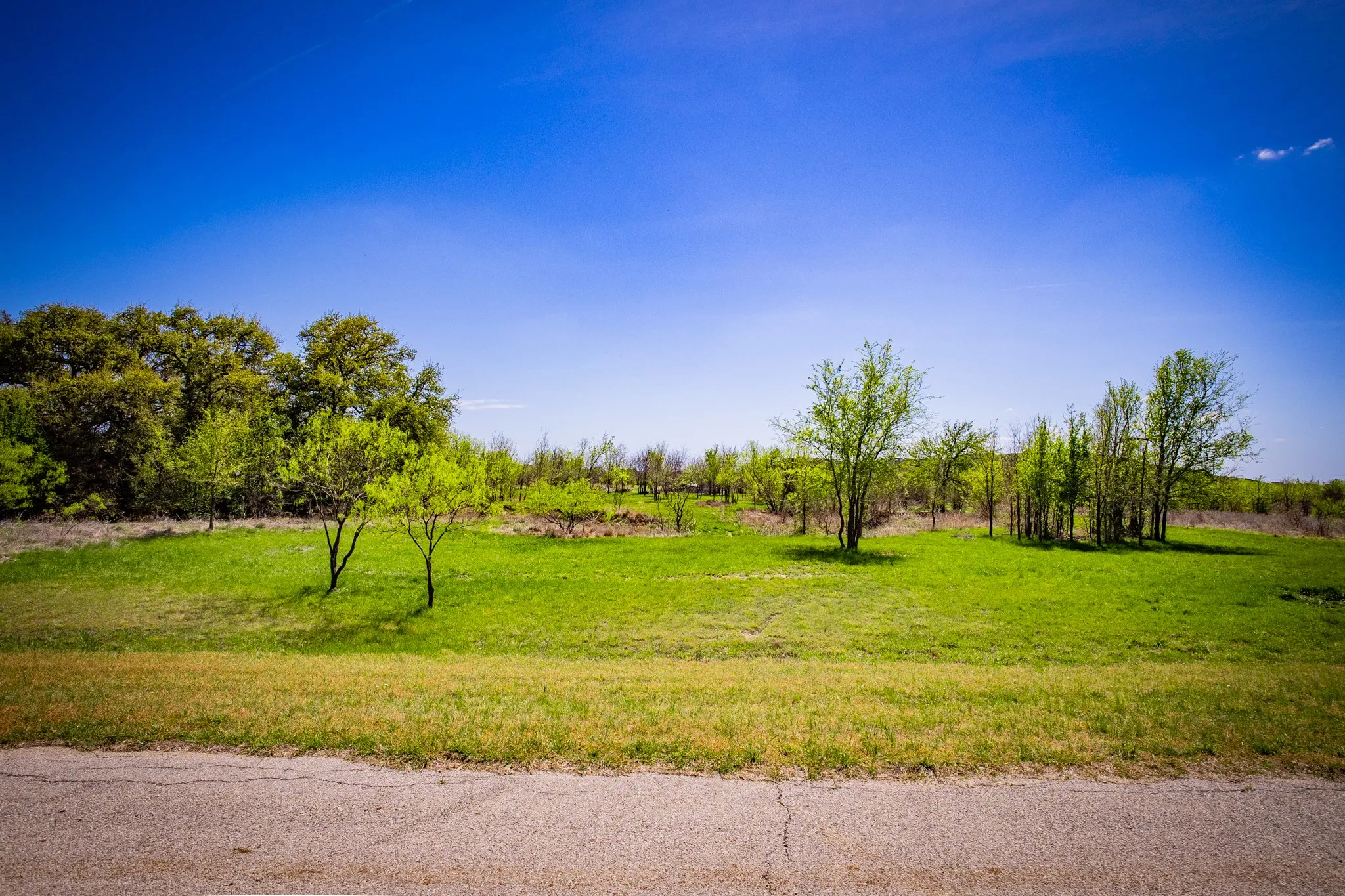 Unimproved Land For Sale in Palo Pinto County , Lot 446 Indigo Bush, Possum Kingdom Lake, Texas 76449, 0, 0, Garage spaces, 0 Sqft, built in 0, Price $50,000, mls#21283494, Real Estate Agent in Possum Kingdom Lake, Homes For Sale in Palo Pinto county, Homes For Sale in Possum Kingdom Lake, Realtor in Possum Kingdom Lake Texas, Real Estate Brokerage Independent Realty Texas, Luminita Cordes Realtor