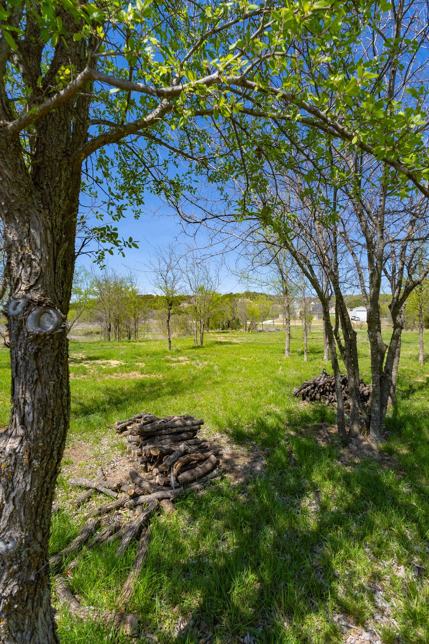Unimproved Land For Sale in Palo Pinto County , Lot 446 Indigo Bush, Possum Kingdom Lake, Texas 76449, 0, 0, Garage spaces, 0 Sqft, built in 0, Price $50,000, mls#21283494, Real Estate Agent in Possum Kingdom Lake, Homes For Sale in Palo Pinto county, Homes For Sale in Possum Kingdom Lake, Realtor in Possum Kingdom Lake Texas, Real Estate Brokerage Independent Realty Texas, Luminita Cordes Realtor
