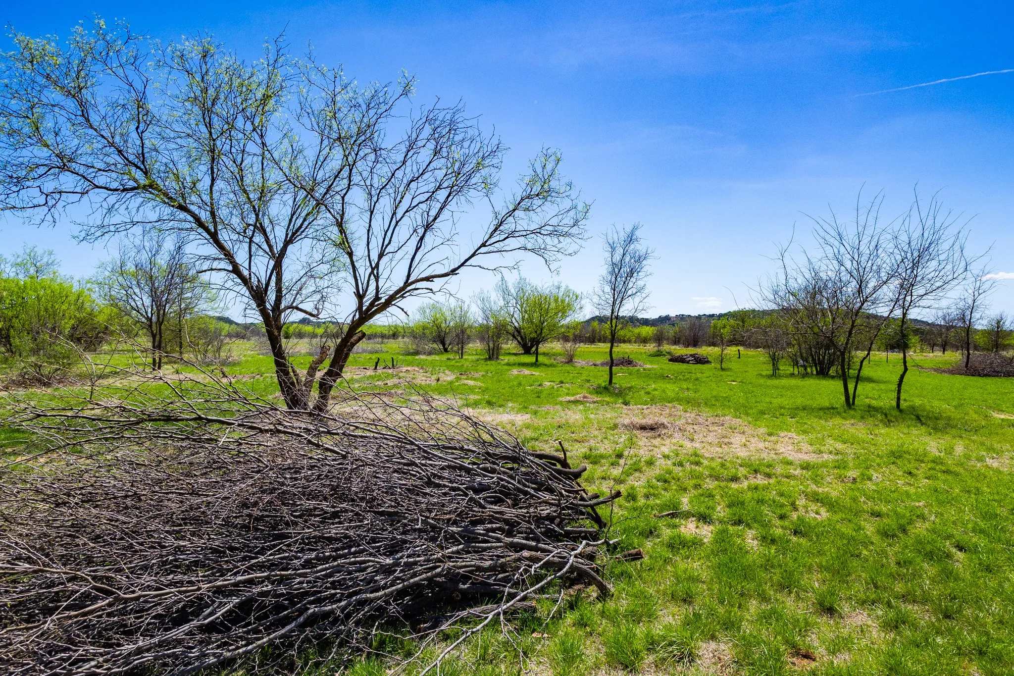 Unimproved Land For Sale in Palo Pinto County , Lot 446 Indigo Bush, Possum Kingdom Lake, Texas 76449, 0, 0, Garage spaces, 0 Sqft, built in 0, Price $50,000, mls#21283494, Real Estate Agent in Possum Kingdom Lake, Homes For Sale in Palo Pinto county, Homes For Sale in Possum Kingdom Lake, Realtor in Possum Kingdom Lake Texas, Real Estate Brokerage Independent Realty Texas, Luminita Cordes Realtor