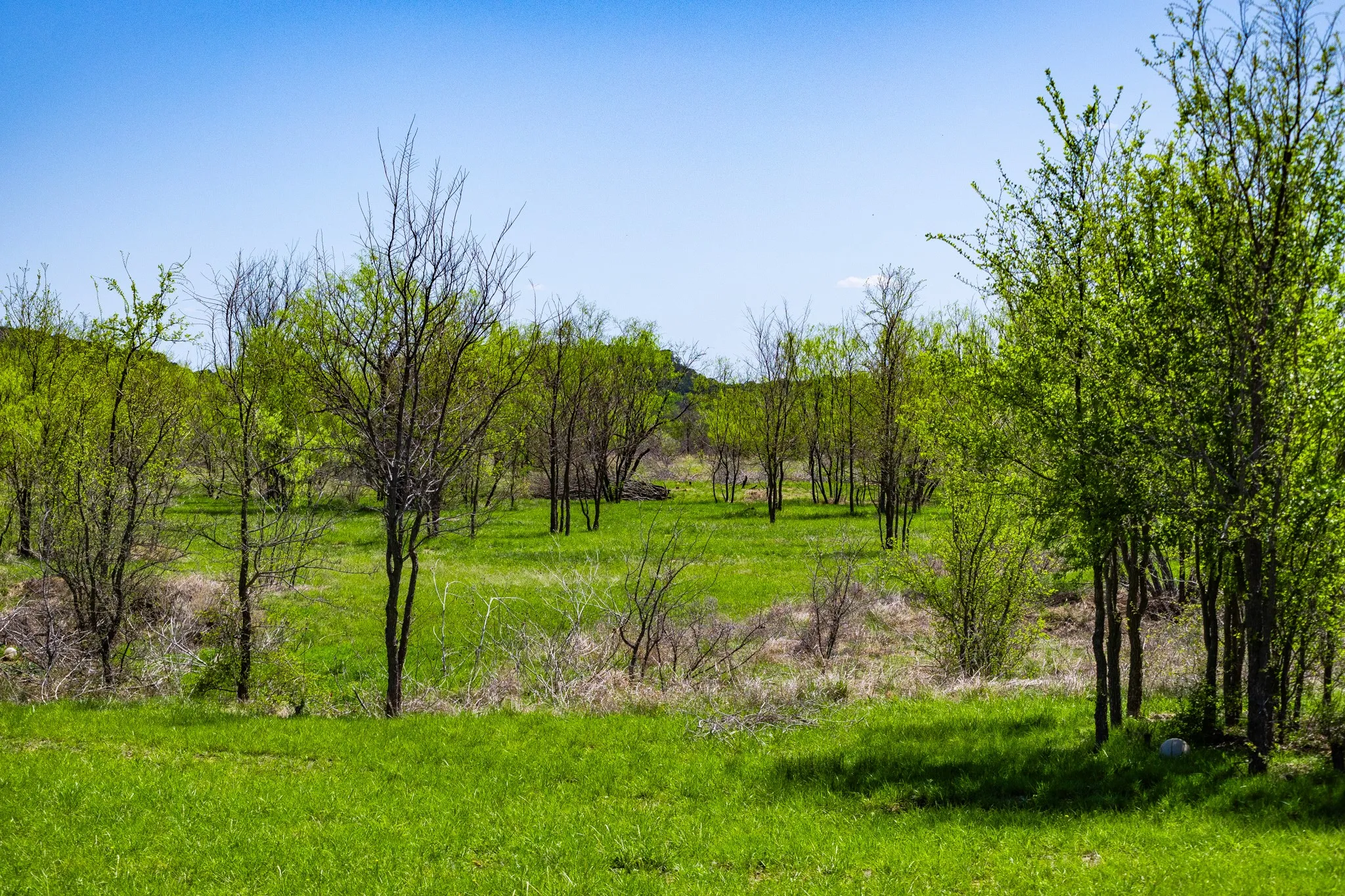 Unimproved Land For Sale in Palo Pinto County , Lot 446 Indigo Bush, Possum Kingdom Lake, Texas 76449, 0, 0, Garage spaces, 0 Sqft, built in 0, Price $50,000, mls#21283494, Real Estate Agent in Possum Kingdom Lake, Homes For Sale in Palo Pinto county, Homes For Sale in Possum Kingdom Lake, Realtor in Possum Kingdom Lake Texas, Real Estate Brokerage Independent Realty Texas, Luminita Cordes Realtor