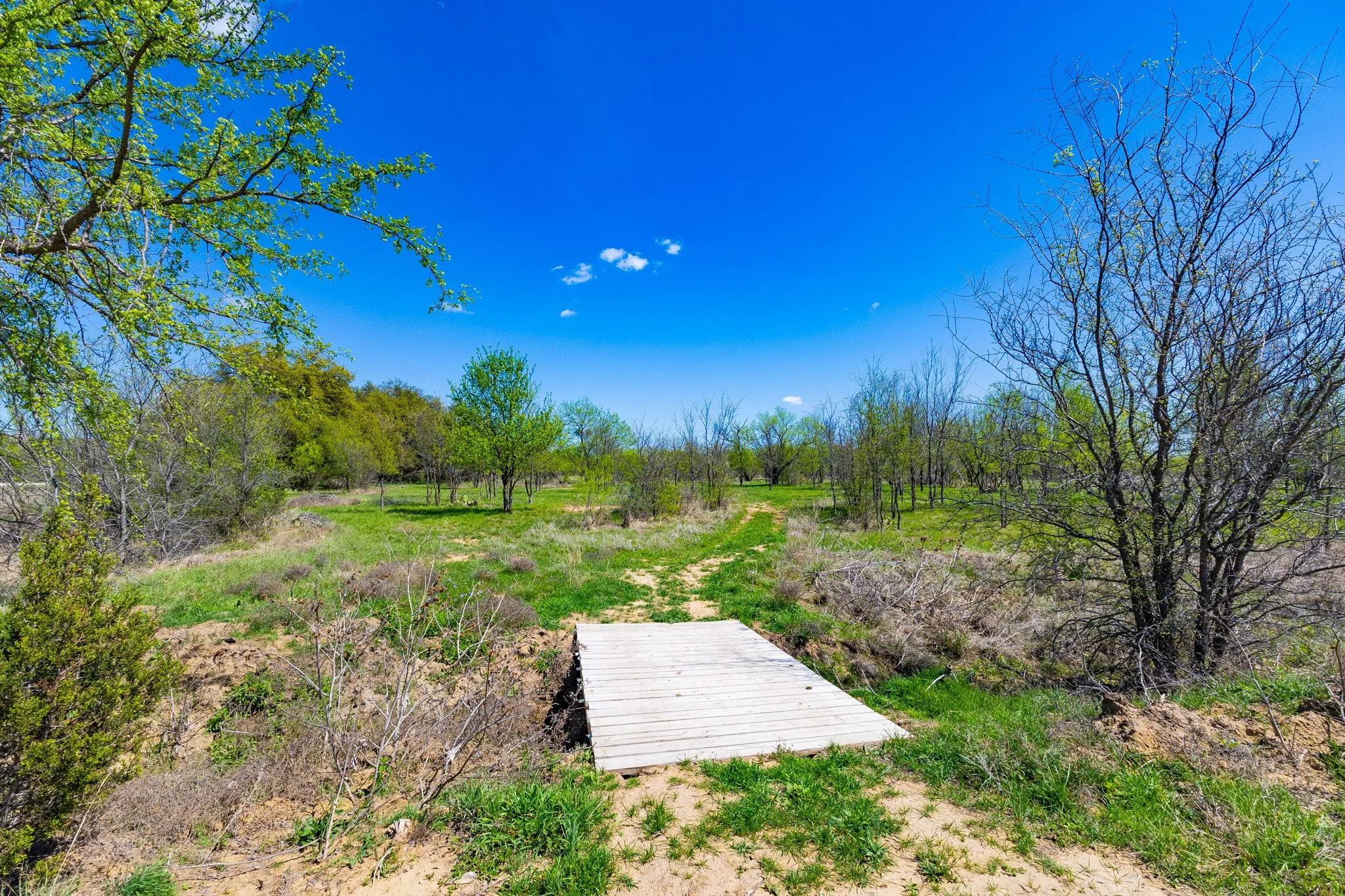 Unimproved Land For Sale in Palo Pinto County , Lot 446 Indigo Bush, Possum Kingdom Lake, Texas 76449, 0, 0, Garage spaces, 0 Sqft, built in 0, Price $50,000, mls#21283494, Real Estate Agent in Possum Kingdom Lake, Homes For Sale in Palo Pinto county, Homes For Sale in Possum Kingdom Lake, Realtor in Possum Kingdom Lake Texas, Real Estate Brokerage Independent Realty Texas, Luminita Cordes Realtor