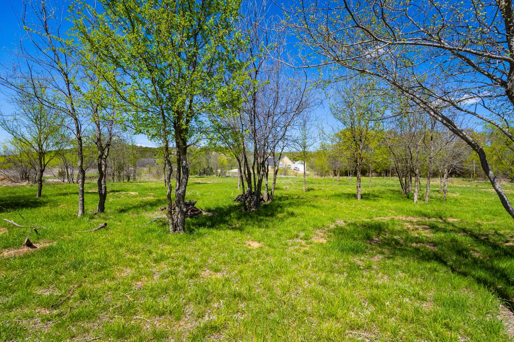 Unimproved Land For Sale in Palo Pinto County , Lot 446 Indigo Bush, Possum Kingdom Lake, Texas 76449, 0, 0, Garage spaces, 0 Sqft, built in 0, Price $50,000, mls#21283494, Real Estate Agent in Possum Kingdom Lake, Homes For Sale in Palo Pinto county, Homes For Sale in Possum Kingdom Lake, Realtor in Possum Kingdom Lake Texas, Real Estate Brokerage Independent Realty Texas, Luminita Cordes Realtor
