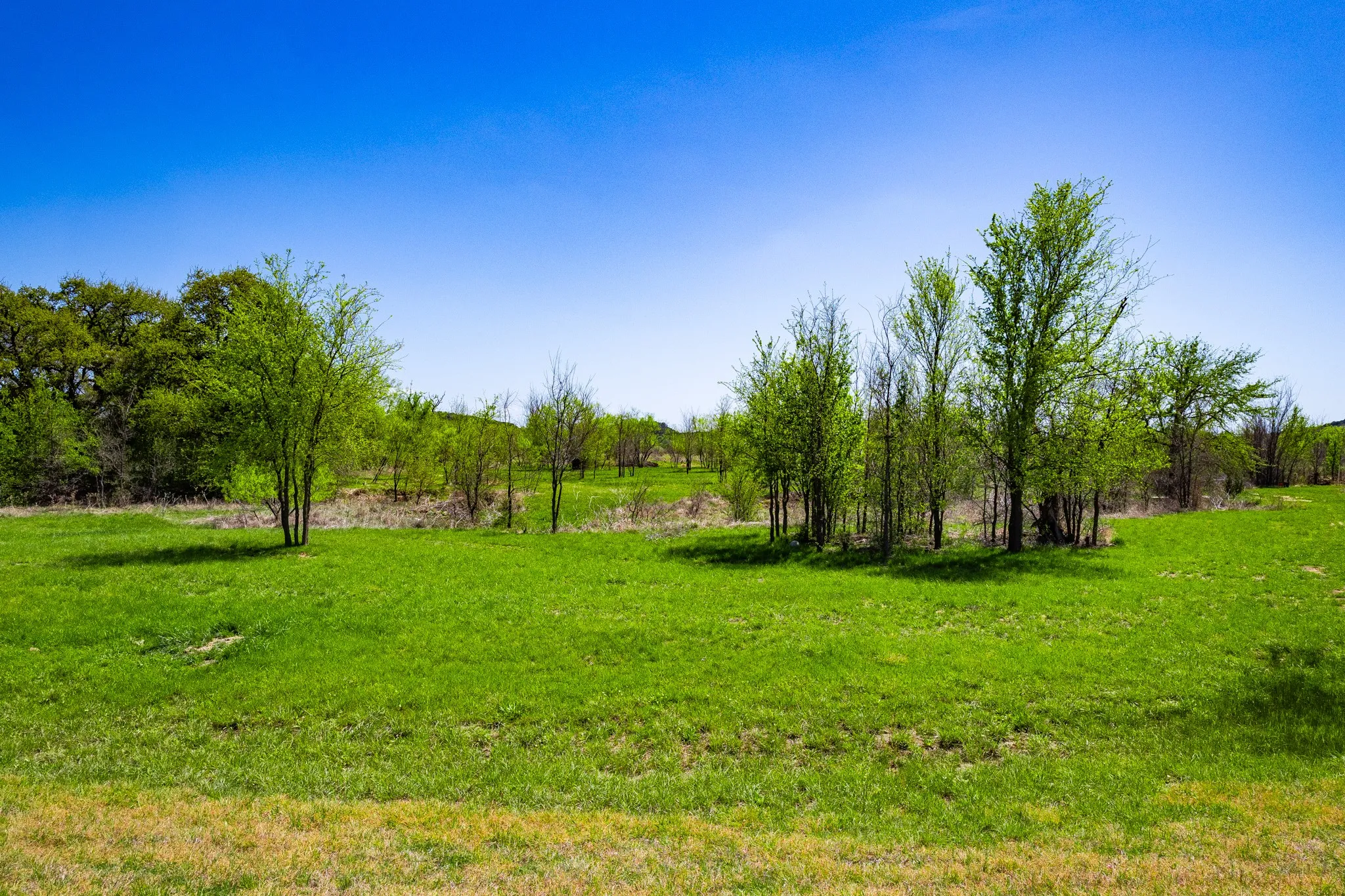 Unimproved Land For Sale in Palo Pinto County , Lot 446 Indigo Bush, Possum Kingdom Lake, Texas 76449, 0, 0, Garage spaces, 0 Sqft, built in 0, Price $50,000, mls#21283494, Real Estate Agent in Possum Kingdom Lake, Homes For Sale in Palo Pinto county, Homes For Sale in Possum Kingdom Lake, Realtor in Possum Kingdom Lake Texas, Real Estate Brokerage Independent Realty Texas, Luminita Cordes Realtor