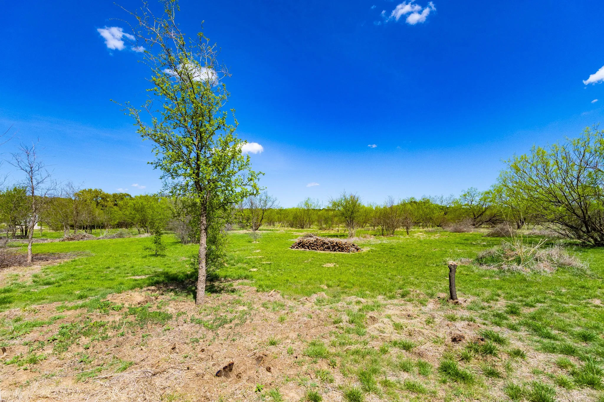 Unimproved Land For Sale in Palo Pinto County , Lot 446 Indigo Bush, Possum Kingdom Lake, Texas 76449, 0, 0, Garage spaces, 0 Sqft, built in 0, Price $50,000, mls#21283494, Real Estate Agent in Possum Kingdom Lake, Homes For Sale in Palo Pinto county, Homes For Sale in Possum Kingdom Lake, Realtor in Possum Kingdom Lake Texas, Real Estate Brokerage Independent Realty Texas, Luminita Cordes Realtor
