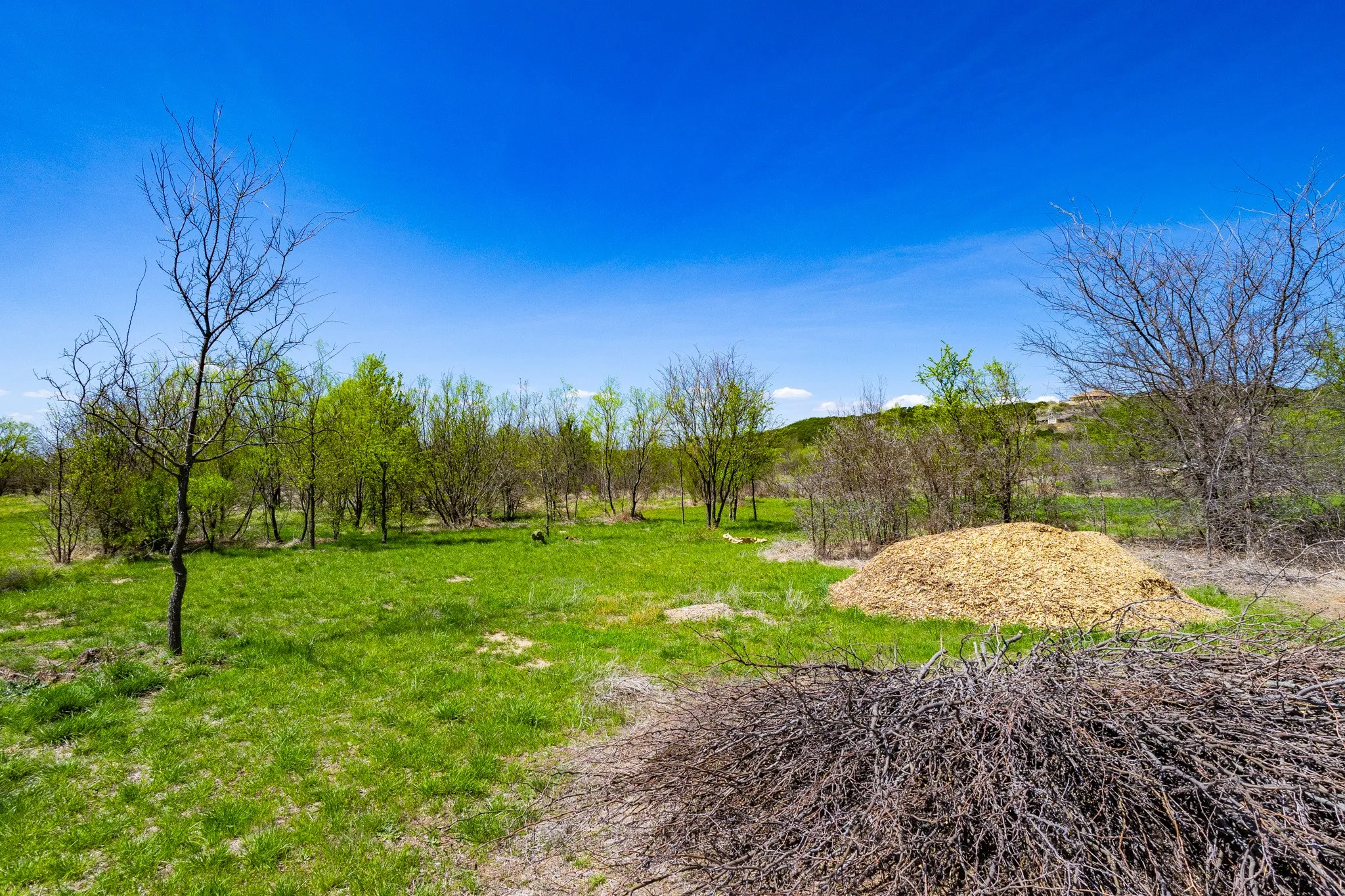 Unimproved Land For Sale in Palo Pinto County , Lot 446 Indigo Bush, Possum Kingdom Lake, Texas 76449, 0, 0, Garage spaces, 0 Sqft, built in 0, Price $50,000, mls#21283494, Real Estate Agent in Possum Kingdom Lake, Homes For Sale in Palo Pinto county, Homes For Sale in Possum Kingdom Lake, Realtor in Possum Kingdom Lake Texas, Real Estate Brokerage Independent Realty Texas, Luminita Cordes Realtor