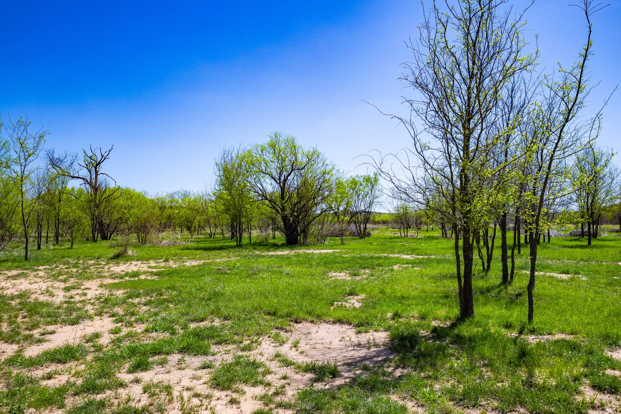 Unimproved Land For Sale in Palo Pinto County , Lot 446 Indigo Bush, Possum Kingdom Lake, Texas 76449, 0, 0, Garage spaces, 0 Sqft, built in 0, Price $50,000, mls#21283494, Real Estate Agent in Possum Kingdom Lake, Homes For Sale in Palo Pinto county, Homes For Sale in Possum Kingdom Lake, Realtor in Possum Kingdom Lake Texas, Real Estate Brokerage Independent Realty Texas, Luminita Cordes Realtor