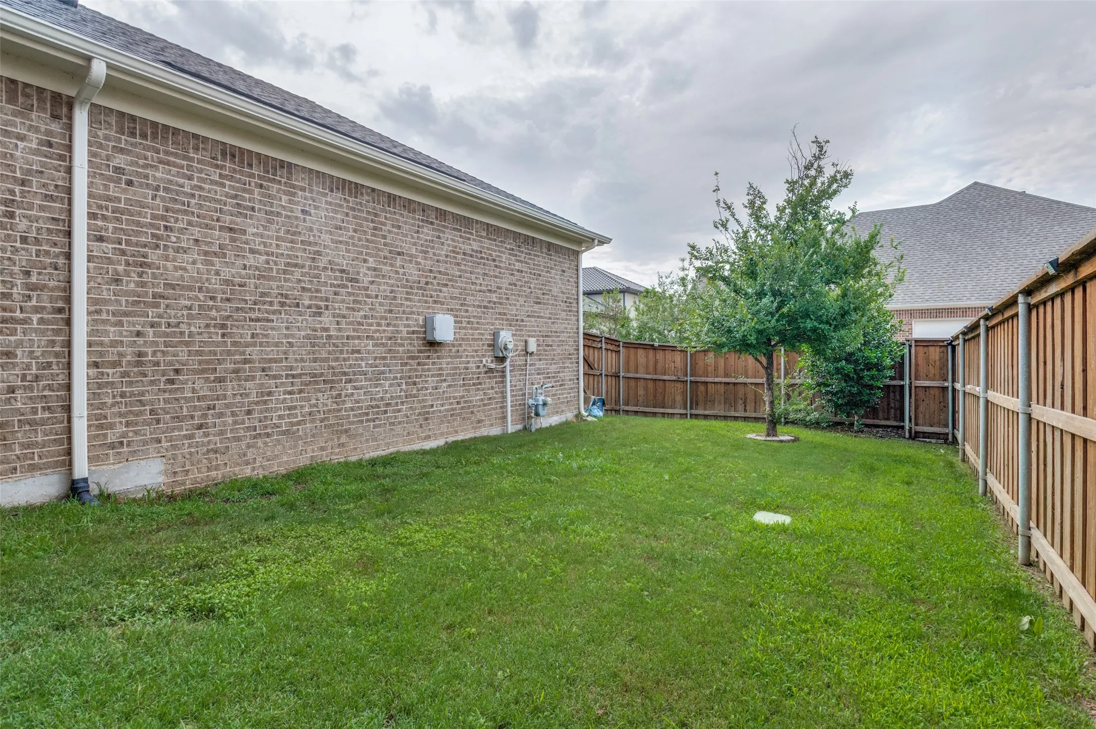 Expansive grass lawn with a mature tree