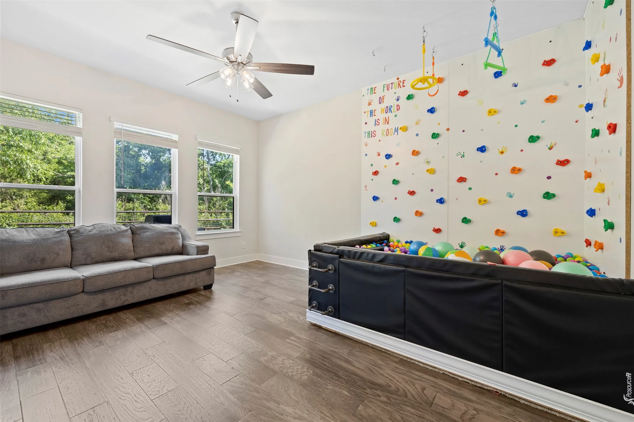 Game Room/Play Room