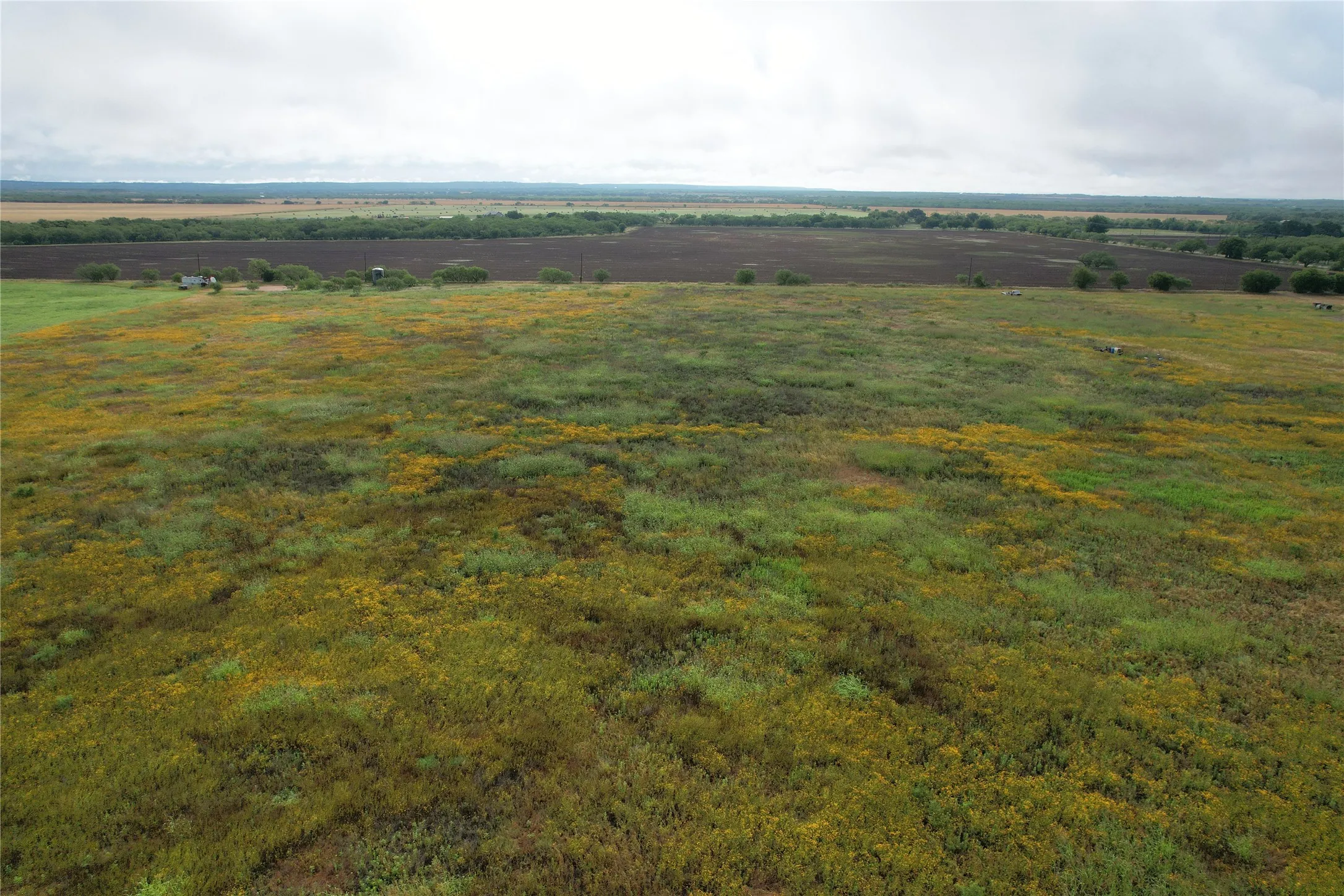 Unimproved Land For Sale in Taylor County , TBD Hwy 84, Lawn, Texas 79530, 0, 0, Garage spaces, 0 Sqft, built in 0, Price $137,500, mls#21283605, Real Estate Agent in Lawn, Homes For Sale in Taylor county, Homes For Sale in Lawn, Realtor in Lawn Texas, Real Estate Brokerage Independent Realty Texas, Luminita Cordes Realtor