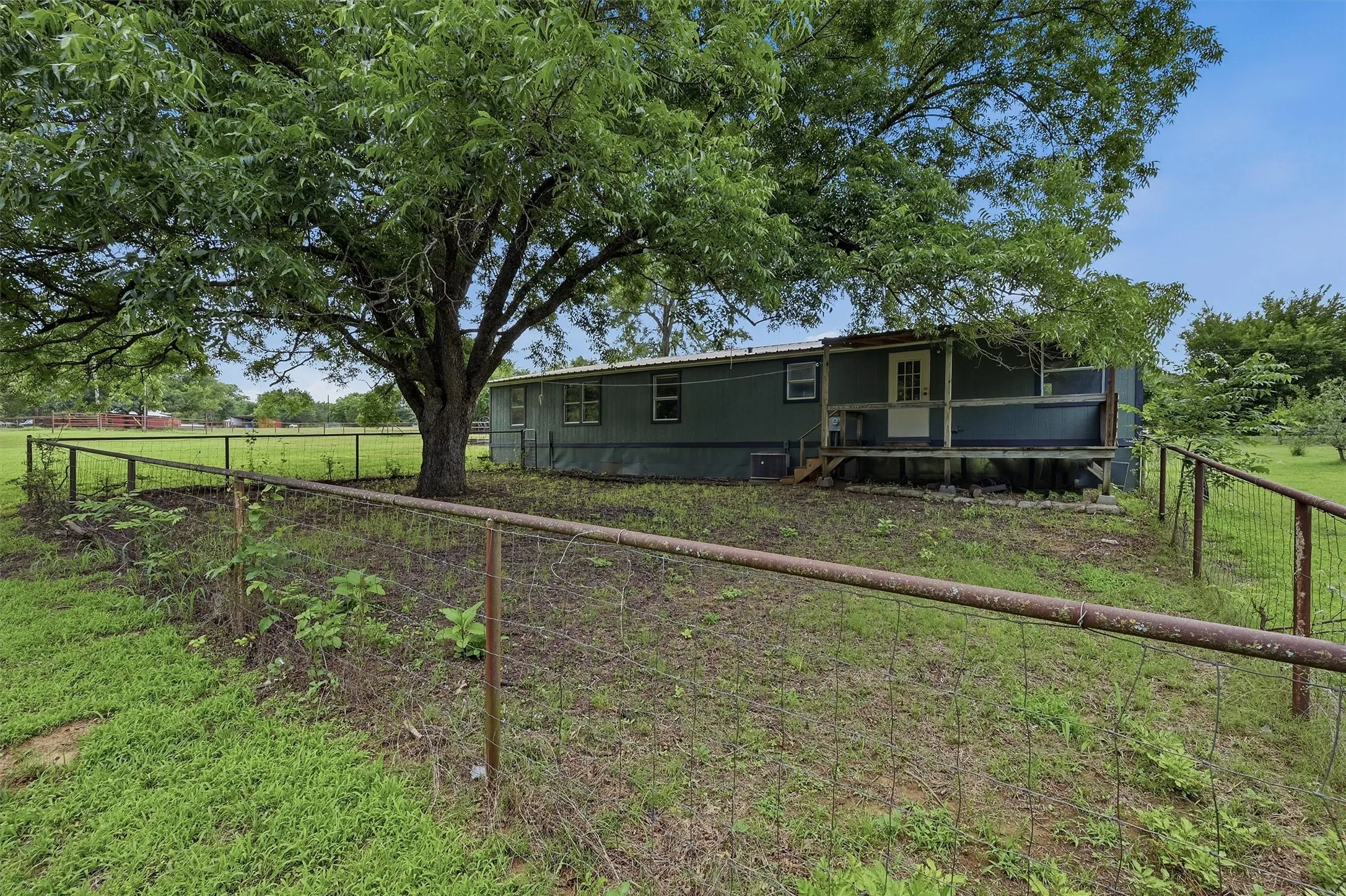 Expansive outdoor space featuring a large mature tree providing natural shade