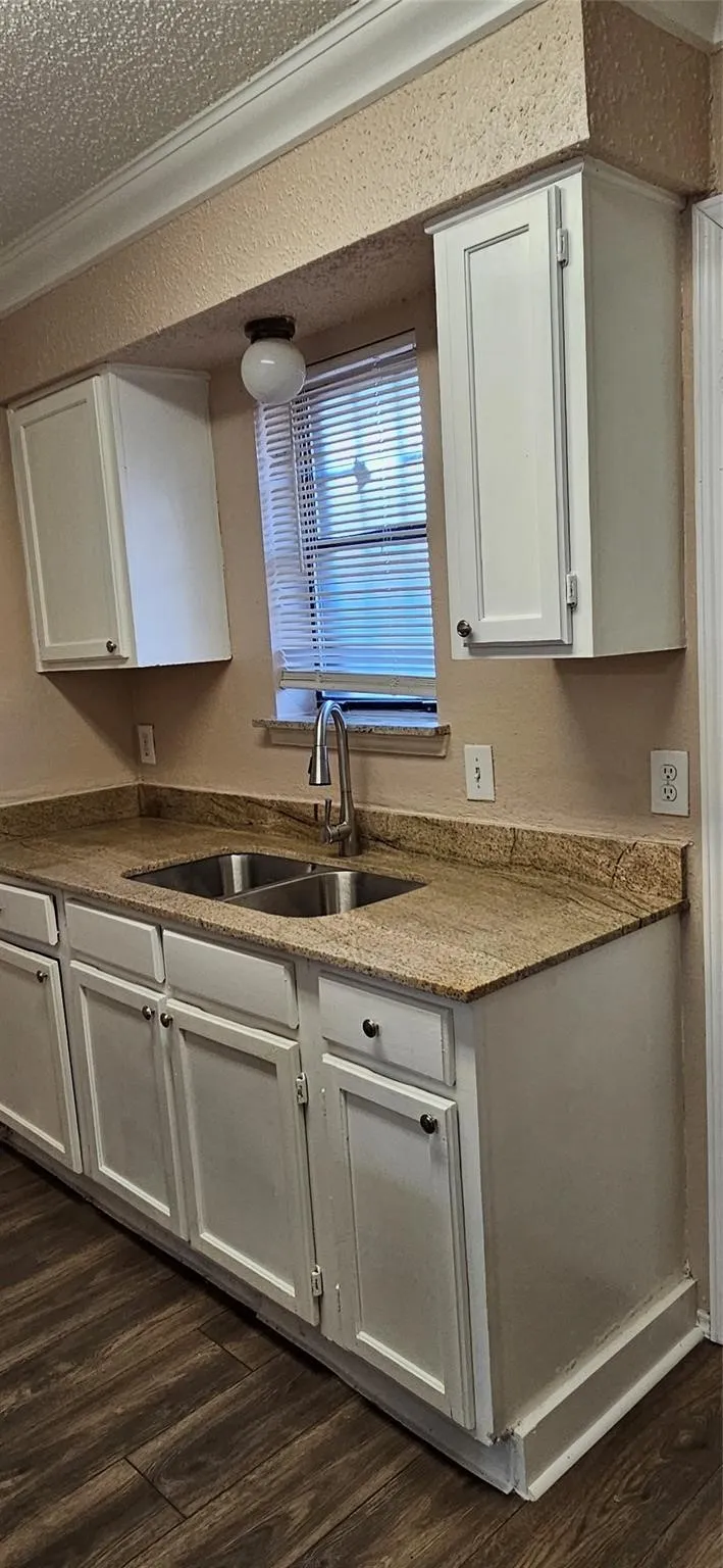 Kitchen featuring wood-finish flooring, white cabinetry with dark hardware, a double basin stainless steel sink with a modern faucet, and light-toned countertops