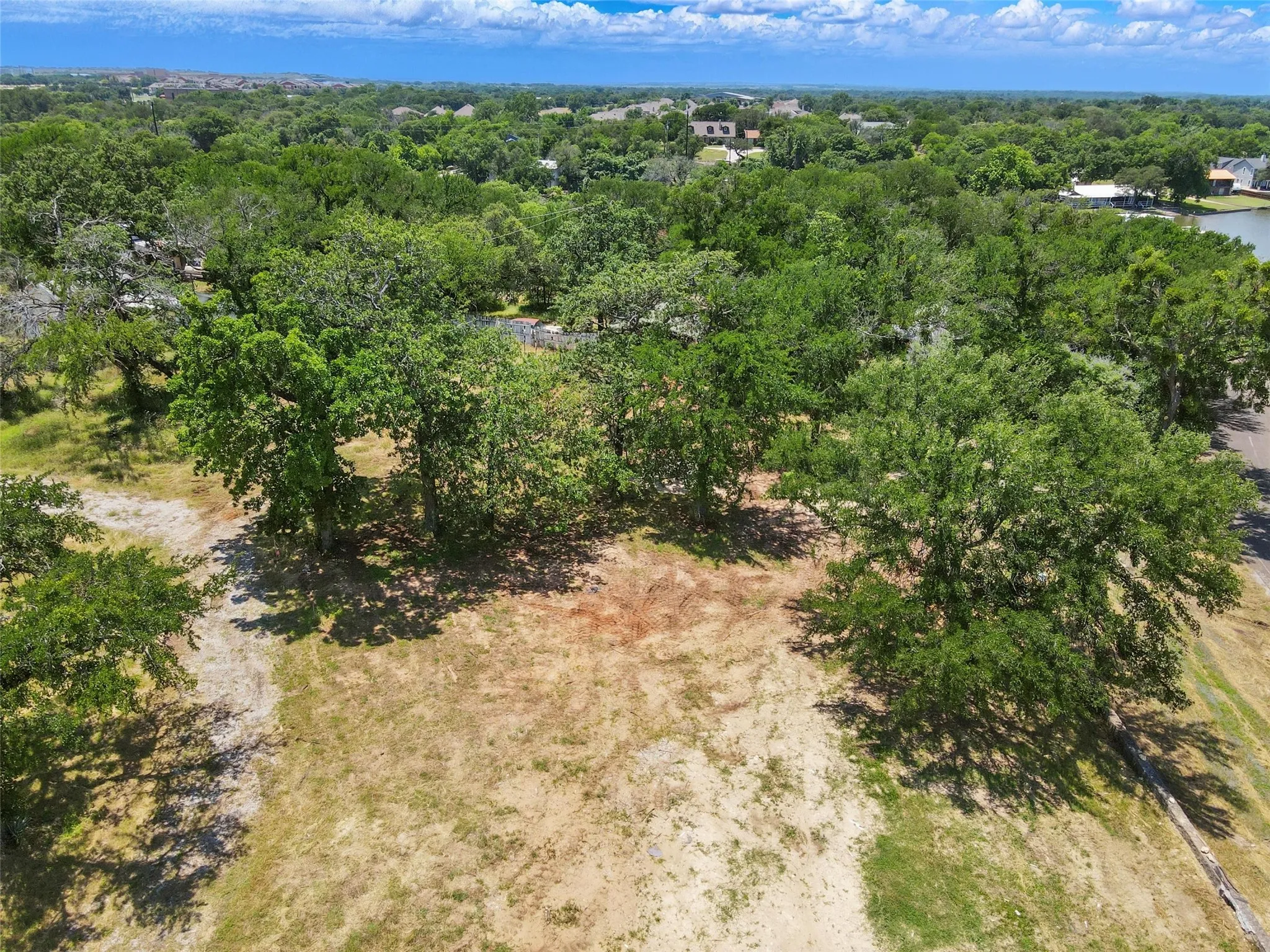 Aerial view of a forest