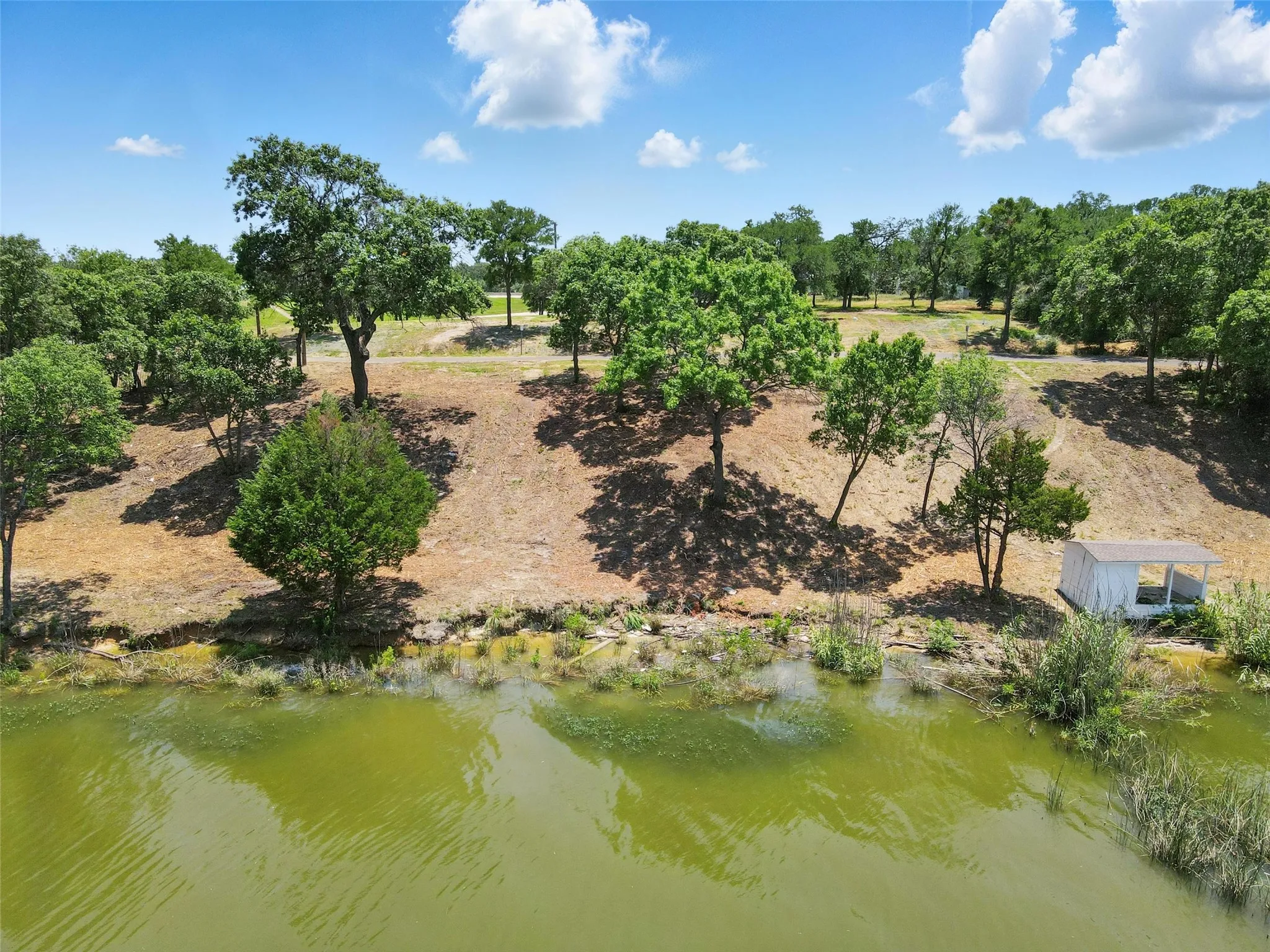 Bird's eye view of a tree filled landscape