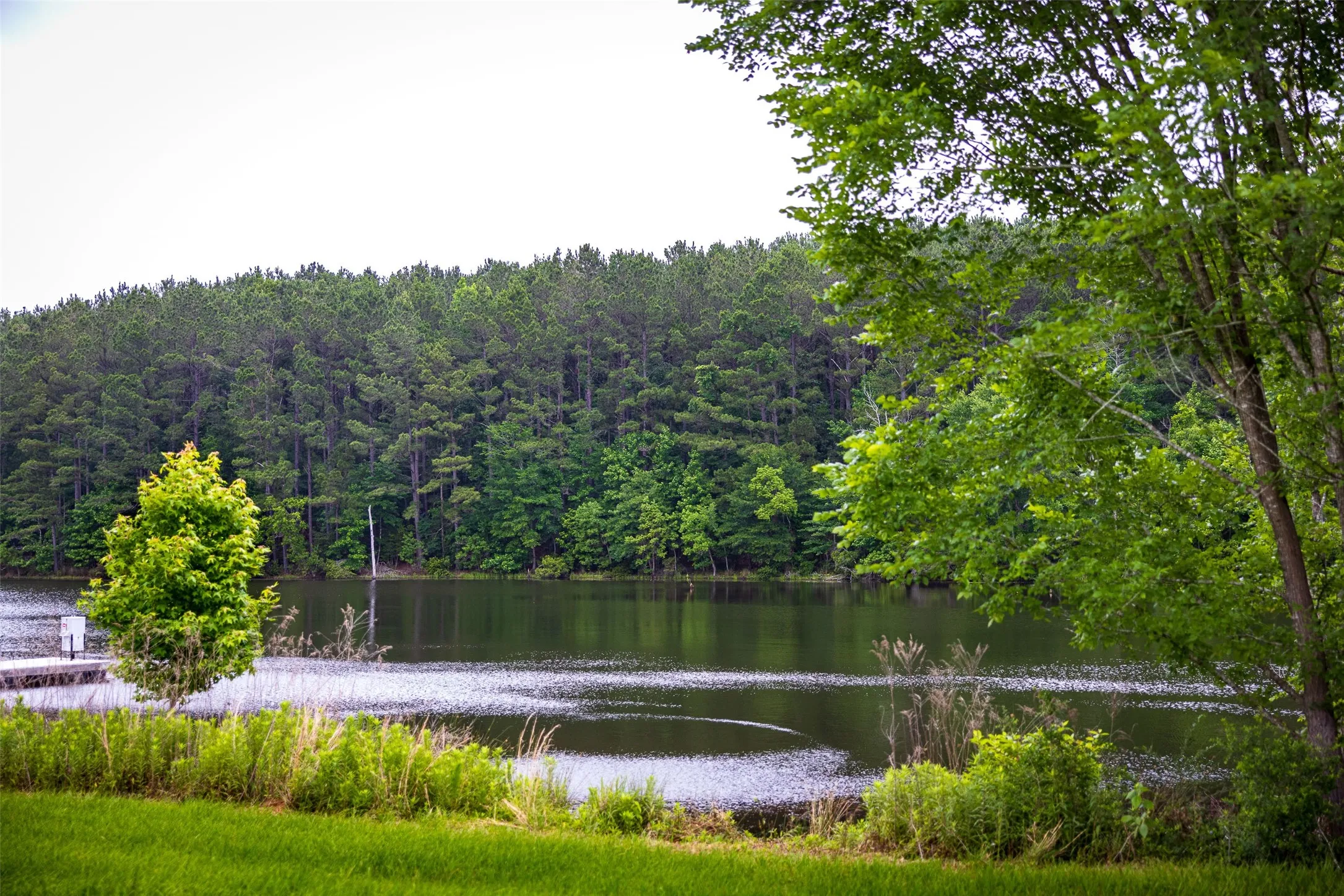 Improved Land For Sale in Cherokee County , 4123 Farm to Market Road 752 S, Rusk, Texas 75785, 0, 0, Garage spaces, 0 Sqft, built in 1999, mls#21283805, Real Estate Agent in Rusk, Homes For Sale in Cherokee county, Homes For Sale in Rusk, Realtor in Rusk Texas, Real Estate Brokerage Independent Realty Texas, Luminita Cordes Realtor