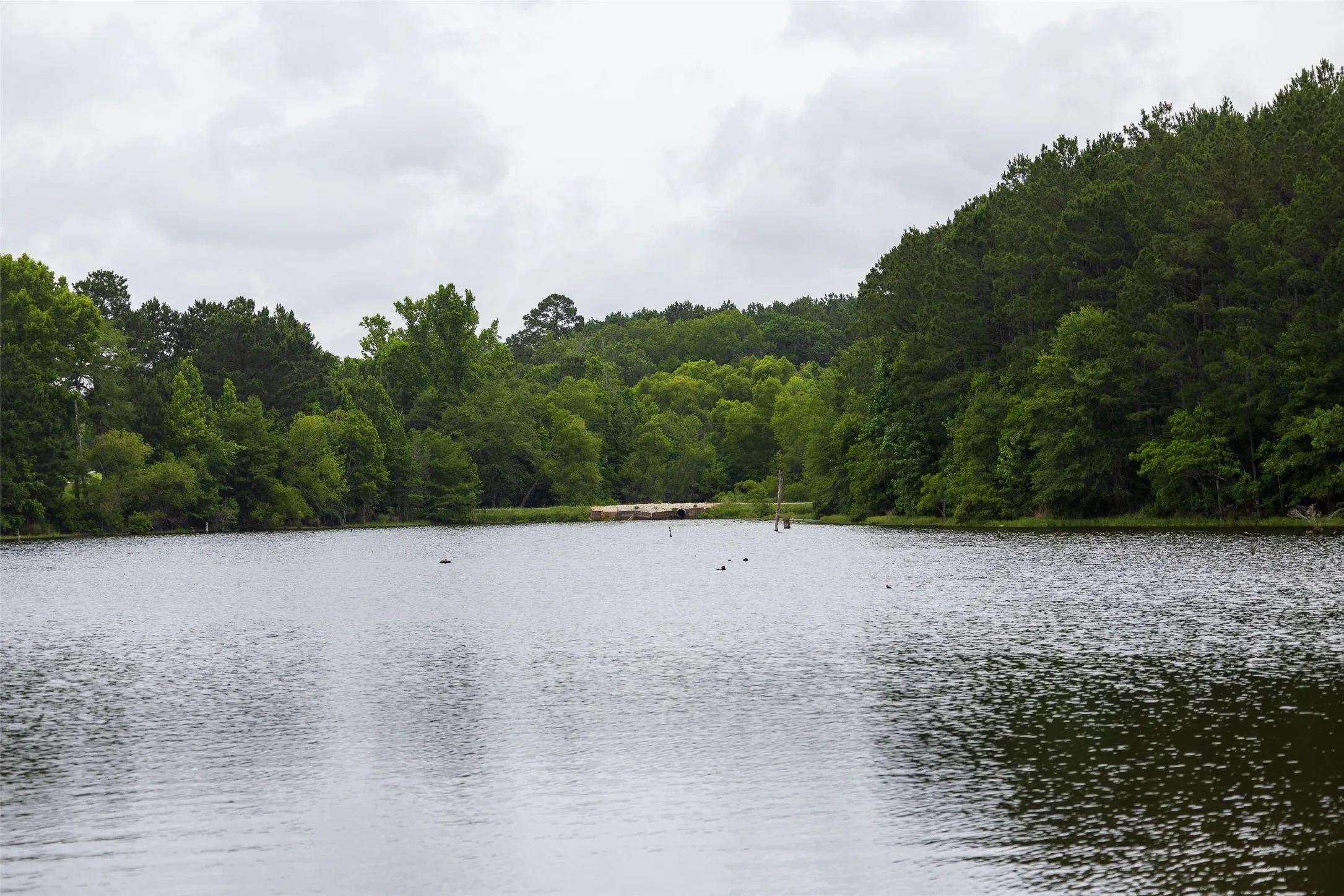 Improved Land For Sale in Cherokee County , 4123 Farm to Market Road 752 S, Rusk, Texas 75785, 0, 0, Garage spaces, 0 Sqft, built in 1999, mls#21283805, Real Estate Agent in Rusk, Homes For Sale in Cherokee county, Homes For Sale in Rusk, Realtor in Rusk Texas, Real Estate Brokerage Independent Realty Texas, Luminita Cordes Realtor