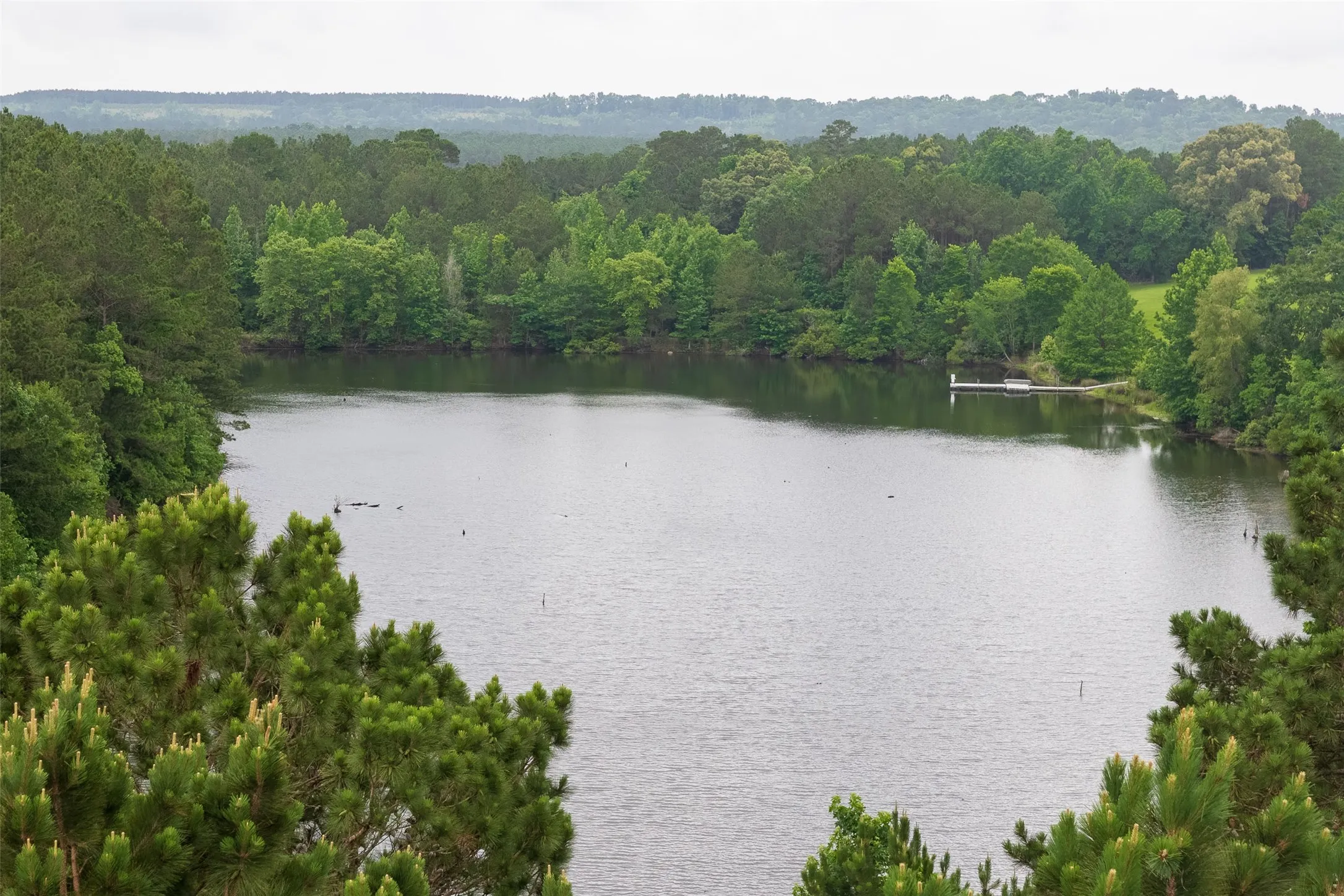 Improved Land For Sale in Cherokee County , 4123 Farm to Market Road 752 S, Rusk, Texas 75785, 0, 0, Garage spaces, 0 Sqft, built in 1999, mls#21283805, Real Estate Agent in Rusk, Homes For Sale in Cherokee county, Homes For Sale in Rusk, Realtor in Rusk Texas, Real Estate Brokerage Independent Realty Texas, Luminita Cordes Realtor