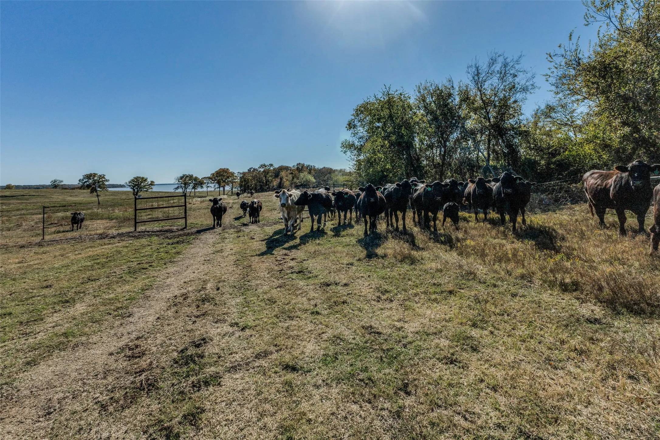 Single Family Residence For Sale in Kaufman County , 15675 County Road 4024, Kemp, Texas 75143, 3 Bedrooms, 2 Bathrooms, 2 Garage spaces, 2,690 Sqft, built in 1991, Price $3,500,000, mls#21283816, Real Estate Agent in Kemp, Homes For Sale in Kaufman county, Homes For Sale in Kemp, Realtor in Kemp Texas, Real Estate Brokerage Independent Realty Texas, Luminita Cordes Realtor