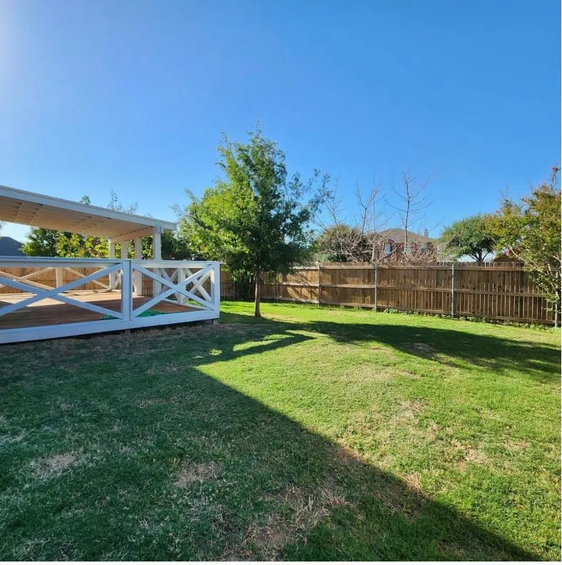 Large backyard