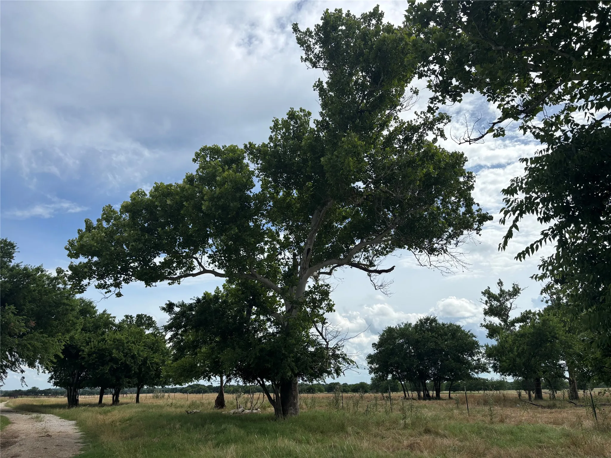 Unimproved Land For Sale in Cooke County , 210.95 E FM 922, Valley View, Texas 76272, 0, 0, Garage spaces, 0 Sqft, built in 0, mls#21282565, Real Estate Agent in Valley View, Homes For Sale in Cooke county, Homes For Sale in Valley View, Realtor in Valley View Texas, Real Estate Brokerage Independent Realty Texas, Luminita Cordes Realtor
