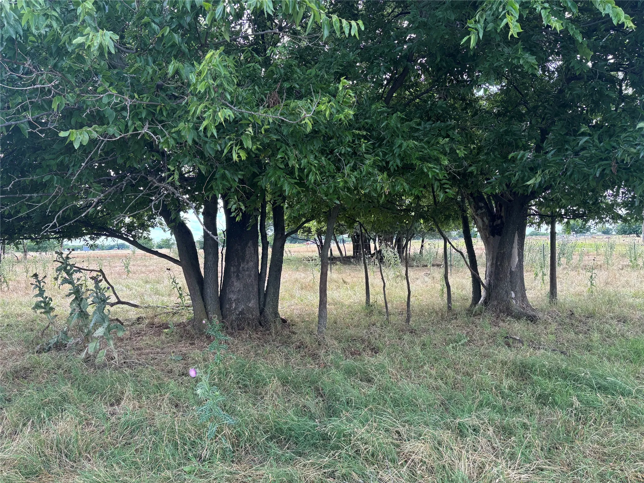 Unimproved Land For Sale in Cooke County , 210.95 E FM 922, Valley View, Texas 76272, 0, 0, Garage spaces, 0 Sqft, built in 0, mls#21282565, Real Estate Agent in Valley View, Homes For Sale in Cooke county, Homes For Sale in Valley View, Realtor in Valley View Texas, Real Estate Brokerage Independent Realty Texas, Luminita Cordes Realtor