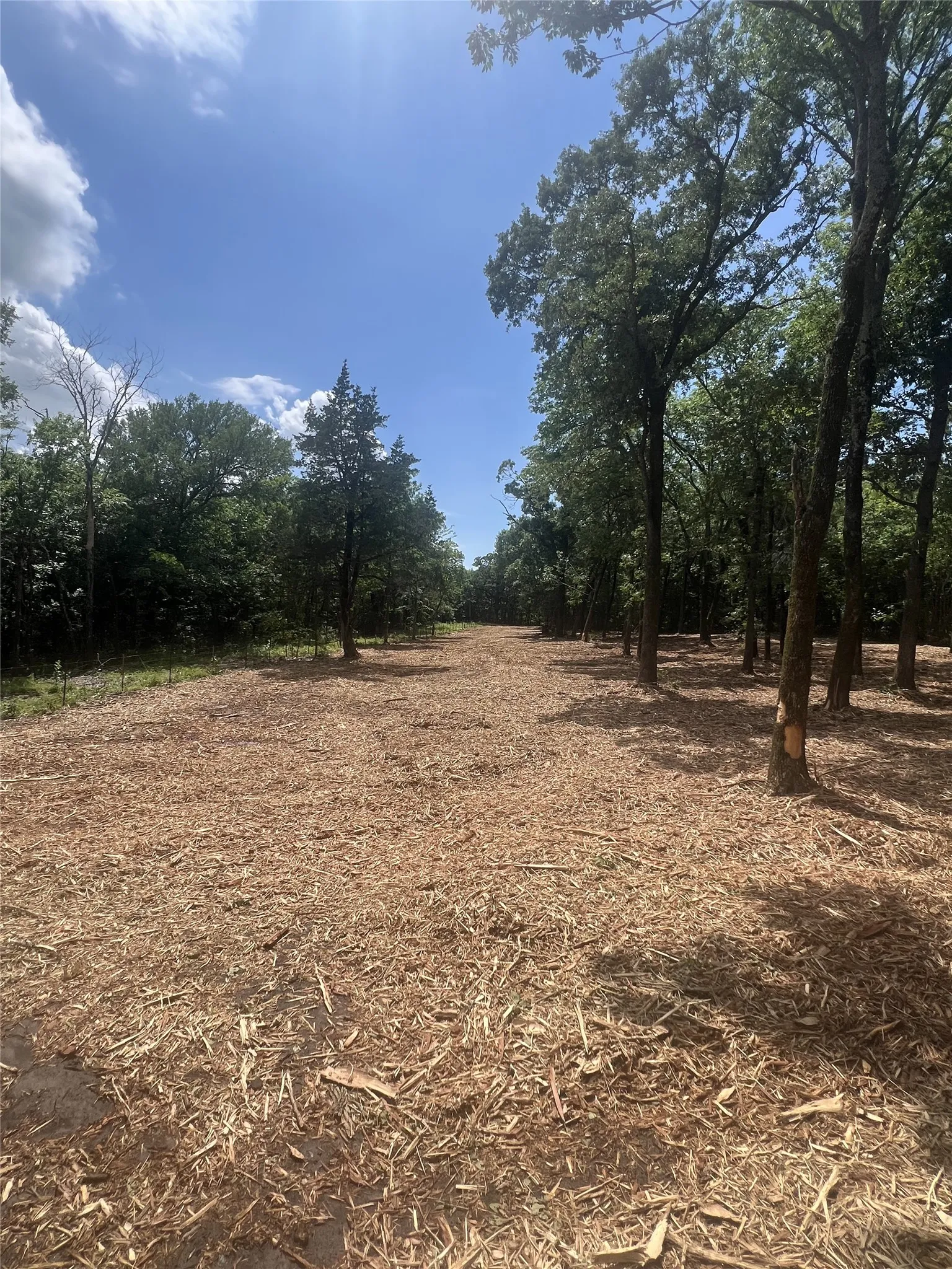 Unimproved Land For Sale in Fannin County , 0 County Rd 2980, Windom, Texas 75492, 0, 0, Garage spaces, 0 Sqft, built in 0, Price $199,000, mls#21283218, Real Estate Agent in Windom, Homes For Sale in Fannin county, Homes For Sale in Windom, Realtor in Windom Texas, Real Estate Brokerage Independent Realty Texas, Luminita Cordes Realtor