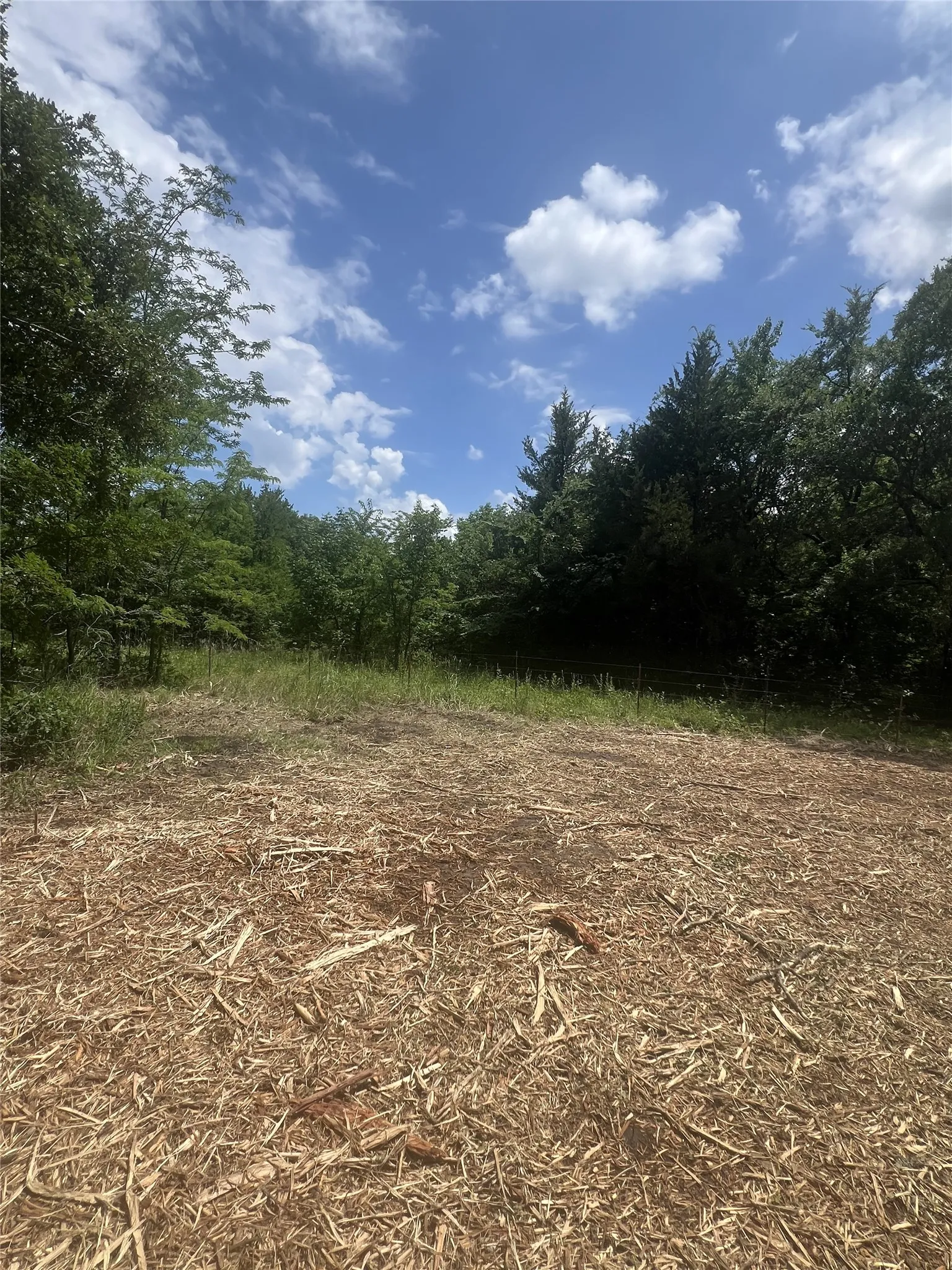 Unimproved Land For Sale in Fannin County , 0 County Rd 2980, Windom, Texas 75492, 0, 0, Garage spaces, 0 Sqft, built in 0, Price $199,000, mls#21283218, Real Estate Agent in Windom, Homes For Sale in Fannin county, Homes For Sale in Windom, Realtor in Windom Texas, Real Estate Brokerage Independent Realty Texas, Luminita Cordes Realtor