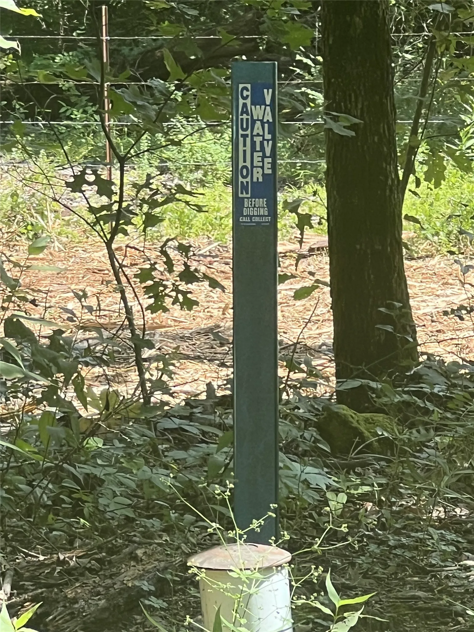 Unimproved Land For Sale in Fannin County , 0 County Rd 2980, Windom, Texas 75492, 0, 0, Garage spaces, 0 Sqft, built in 0, Price $199,000, mls#21283218, Real Estate Agent in Windom, Homes For Sale in Fannin county, Homes For Sale in Windom, Realtor in Windom Texas, Real Estate Brokerage Independent Realty Texas, Luminita Cordes Realtor