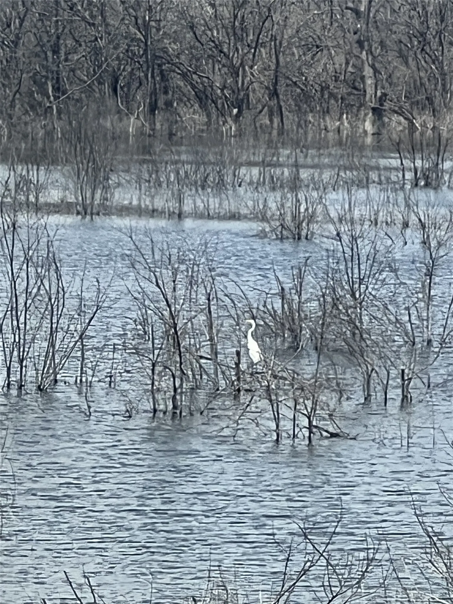 lake just west