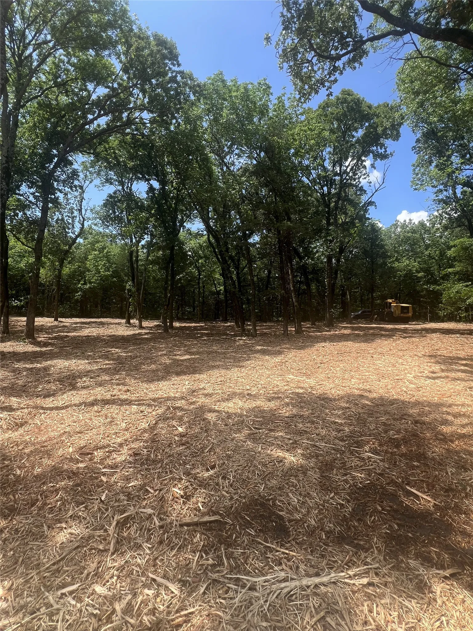 Unimproved Land For Sale in Fannin County , 0 County Rd 2980, Windom, Texas 75492, 0, 0, Garage spaces, 0 Sqft, built in 0, Price $199,000, mls#21283218, Real Estate Agent in Windom, Homes For Sale in Fannin county, Homes For Sale in Windom, Realtor in Windom Texas, Real Estate Brokerage Independent Realty Texas, Luminita Cordes Realtor