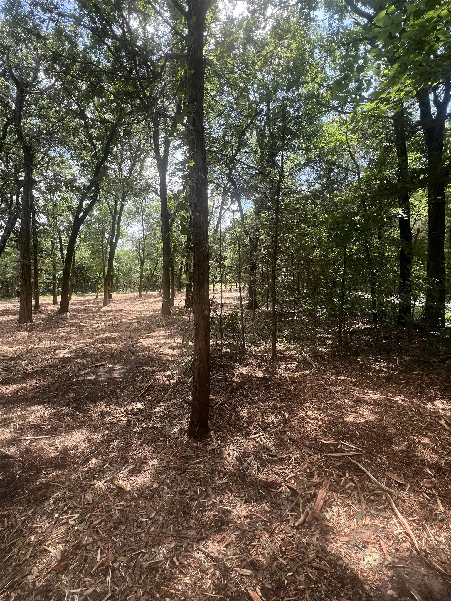 Unimproved Land For Sale in Fannin County , 0 County Rd 2980, Windom, Texas 75492, 0, 0, Garage spaces, 0 Sqft, built in 0, Price $199,000, mls#21283218, Real Estate Agent in Windom, Homes For Sale in Fannin county, Homes For Sale in Windom, Realtor in Windom Texas, Real Estate Brokerage Independent Realty Texas, Luminita Cordes Realtor