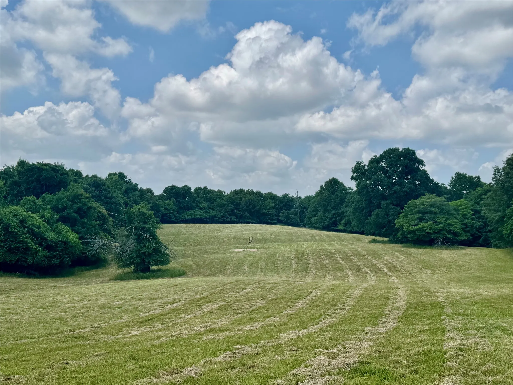 Ranch For Sale in Lamar County , 3893 Fm 906 E, Powderly, Texas 75473, 0, 0, Garage spaces, 0 Sqft, built in 1987, Price $3,580,000, mls#21252090, Real Estate Agent in Powderly, Homes For Sale in Lamar county, Homes For Sale in Powderly, Realtor in Powderly Texas, Real Estate Brokerage Independent Realty Texas, Luminita Cordes Realtor