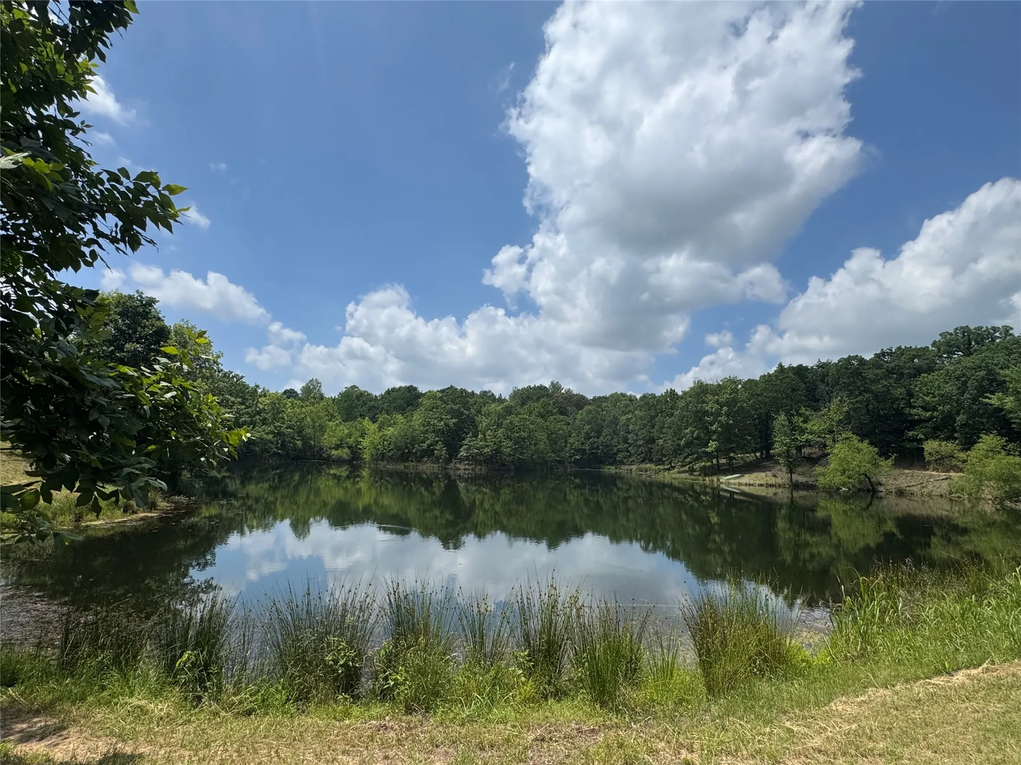 Ranch For Sale in Lamar County , 3893 Fm 906 E, Powderly, Texas 75473, 0, 0, Garage spaces, 0 Sqft, built in 1987, Price $3,580,000, mls#21252090, Real Estate Agent in Powderly, Homes For Sale in Lamar county, Homes For Sale in Powderly, Realtor in Powderly Texas, Real Estate Brokerage Independent Realty Texas, Luminita Cordes Realtor