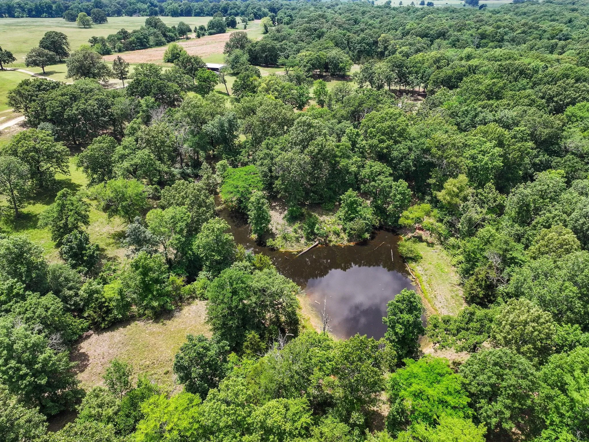 Ranch For Sale in Lamar County , 3893 Fm 906 E, Powderly, Texas 75473, 0, 0, Garage spaces, 0 Sqft, built in 1987, Price $3,580,000, mls#21252090, Real Estate Agent in Powderly, Homes For Sale in Lamar county, Homes For Sale in Powderly, Realtor in Powderly Texas, Real Estate Brokerage Independent Realty Texas, Luminita Cordes Realtor