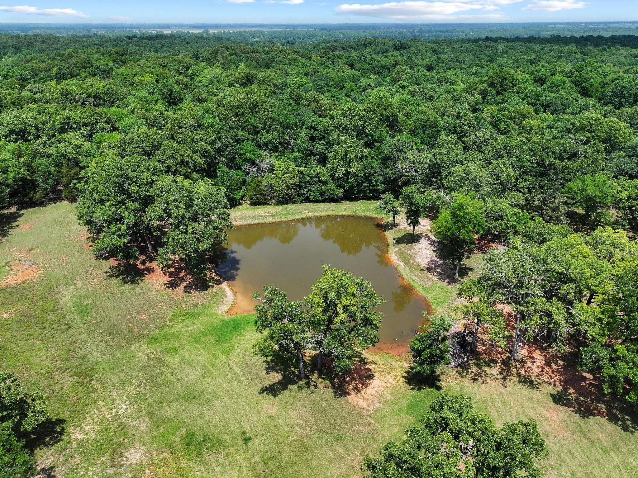 Ranch For Sale in Lamar County , 3893 Fm 906 E, Powderly, Texas 75473, 0, 0, Garage spaces, 0 Sqft, built in 1987, Price $3,580,000, mls#21252090, Real Estate Agent in Powderly, Homes For Sale in Lamar county, Homes For Sale in Powderly, Realtor in Powderly Texas, Real Estate Brokerage Independent Realty Texas, Luminita Cordes Realtor