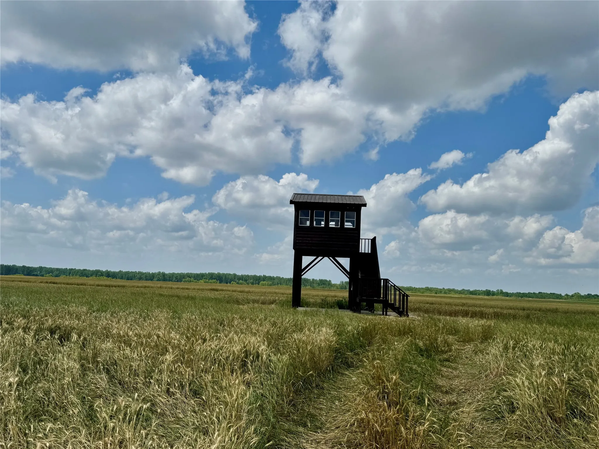 Ranch For Sale in Lamar County , 3893 Fm 906 E, Powderly, Texas 75473, 0, 0, Garage spaces, 0 Sqft, built in 1987, Price $3,580,000, mls#21252090, Real Estate Agent in Powderly, Homes For Sale in Lamar county, Homes For Sale in Powderly, Realtor in Powderly Texas, Real Estate Brokerage Independent Realty Texas, Luminita Cordes Realtor