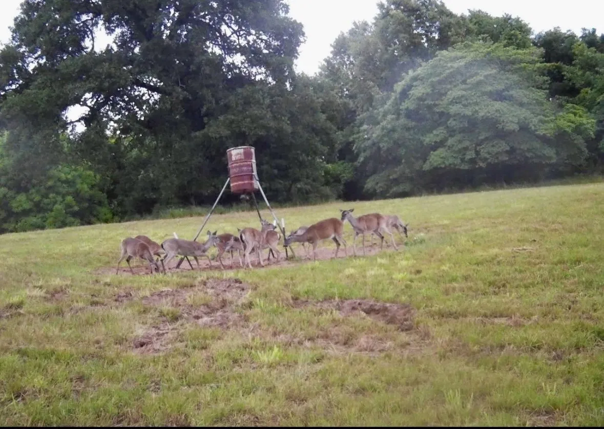 Ranch For Sale in Lamar County , 3893 Fm 906 E, Powderly, Texas 75473, 0, 0, Garage spaces, 0 Sqft, built in 1987, Price $3,580,000, mls#21252090, Real Estate Agent in Powderly, Homes For Sale in Lamar county, Homes For Sale in Powderly, Realtor in Powderly Texas, Real Estate Brokerage Independent Realty Texas, Luminita Cordes Realtor