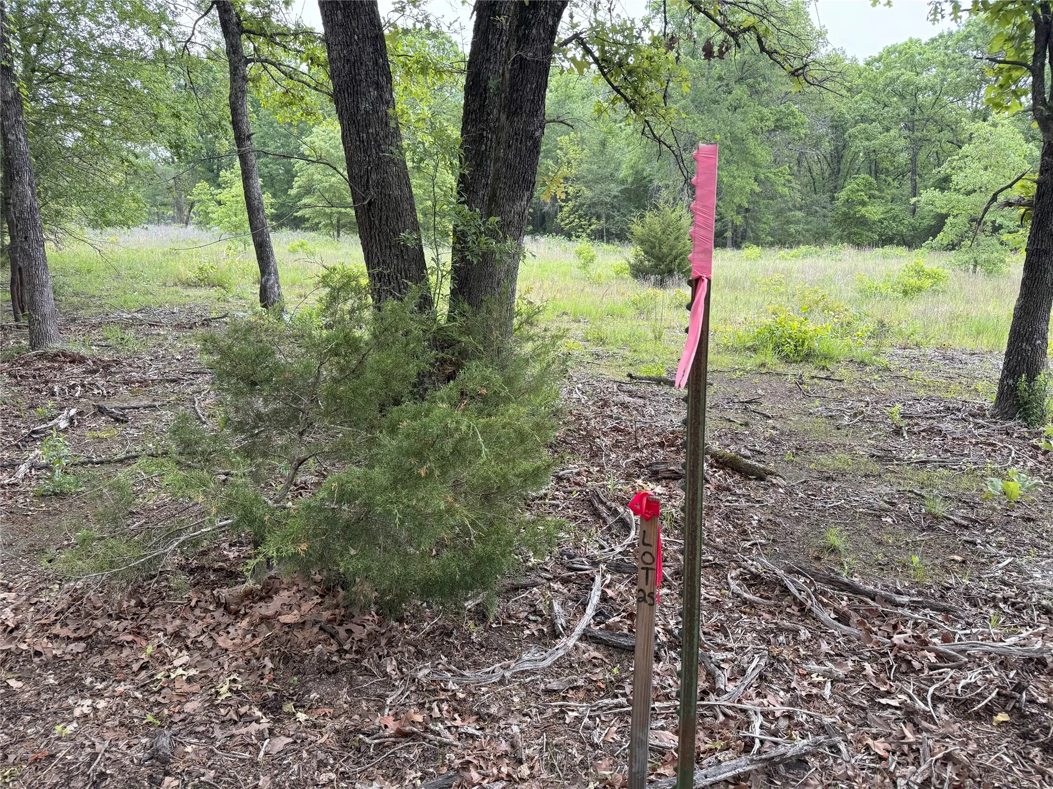 Unimproved Land For Sale in Rains County , LOT 25 Rains County Road 2610, Alba, Texas 75410, 0, 0, Garage spaces, 0 Sqft, built in 0, Price $135,000, mls#21284082, Real Estate Agent in Alba, Homes For Sale in Rains county, Homes For Sale in Alba, Realtor in Alba Texas, Real Estate Brokerage Independent Realty Texas, Luminita Cordes Realtor