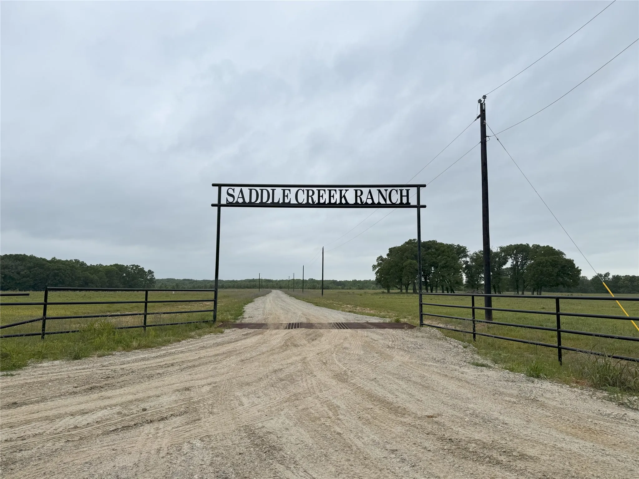 Unimproved Land For Sale in Rains County , LOT 25 Rains County Road 2610, Alba, Texas 75410, 0, 0, Garage spaces, 0 Sqft, built in 0, Price $135,000, mls#21284082, Real Estate Agent in Alba, Homes For Sale in Rains county, Homes For Sale in Alba, Realtor in Alba Texas, Real Estate Brokerage Independent Realty Texas, Luminita Cordes Realtor